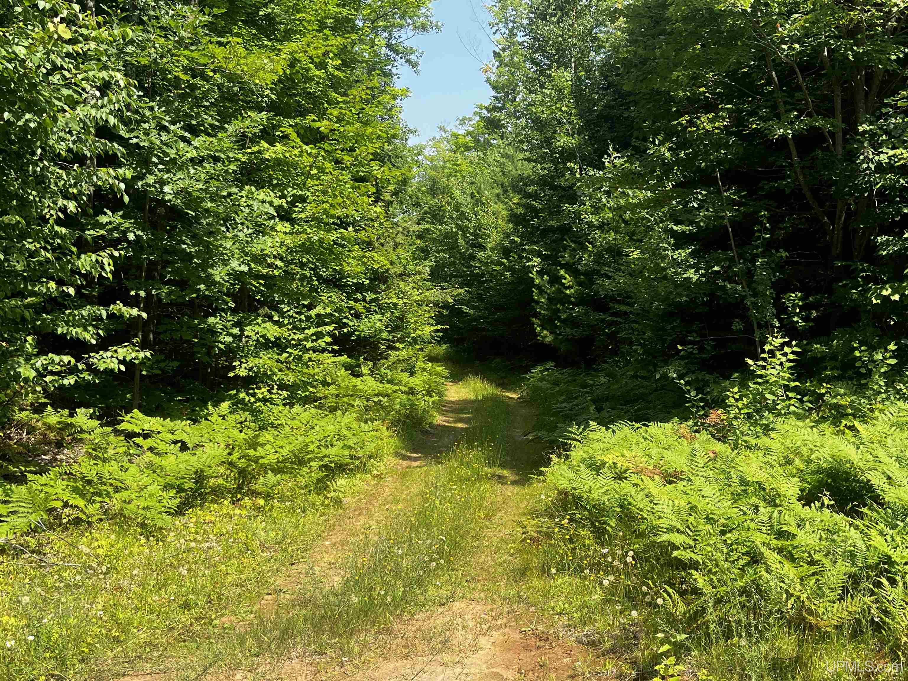 MLS 50183398 Large photo number 32 