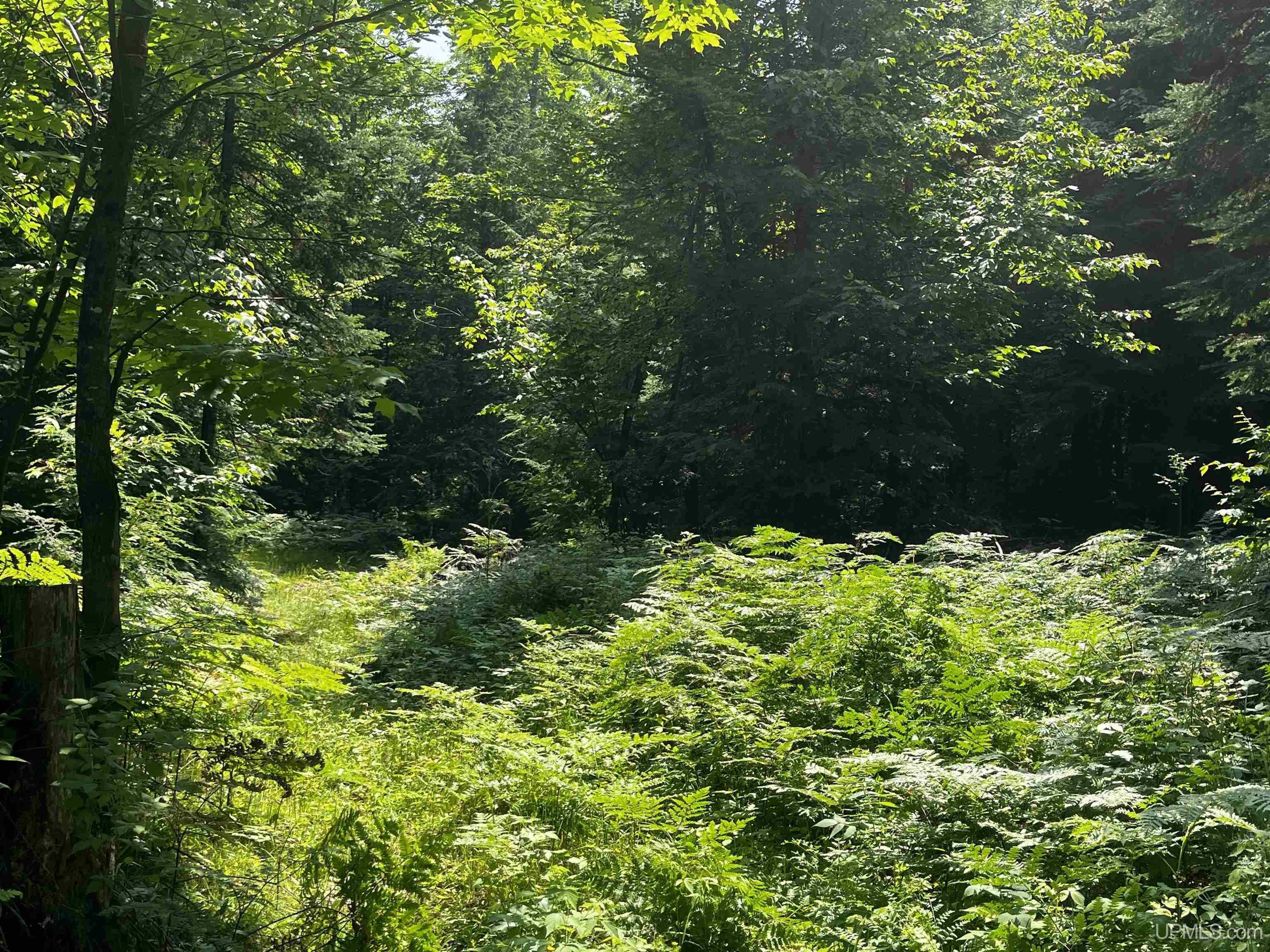 MLS 50183398 Large photo number 33 
