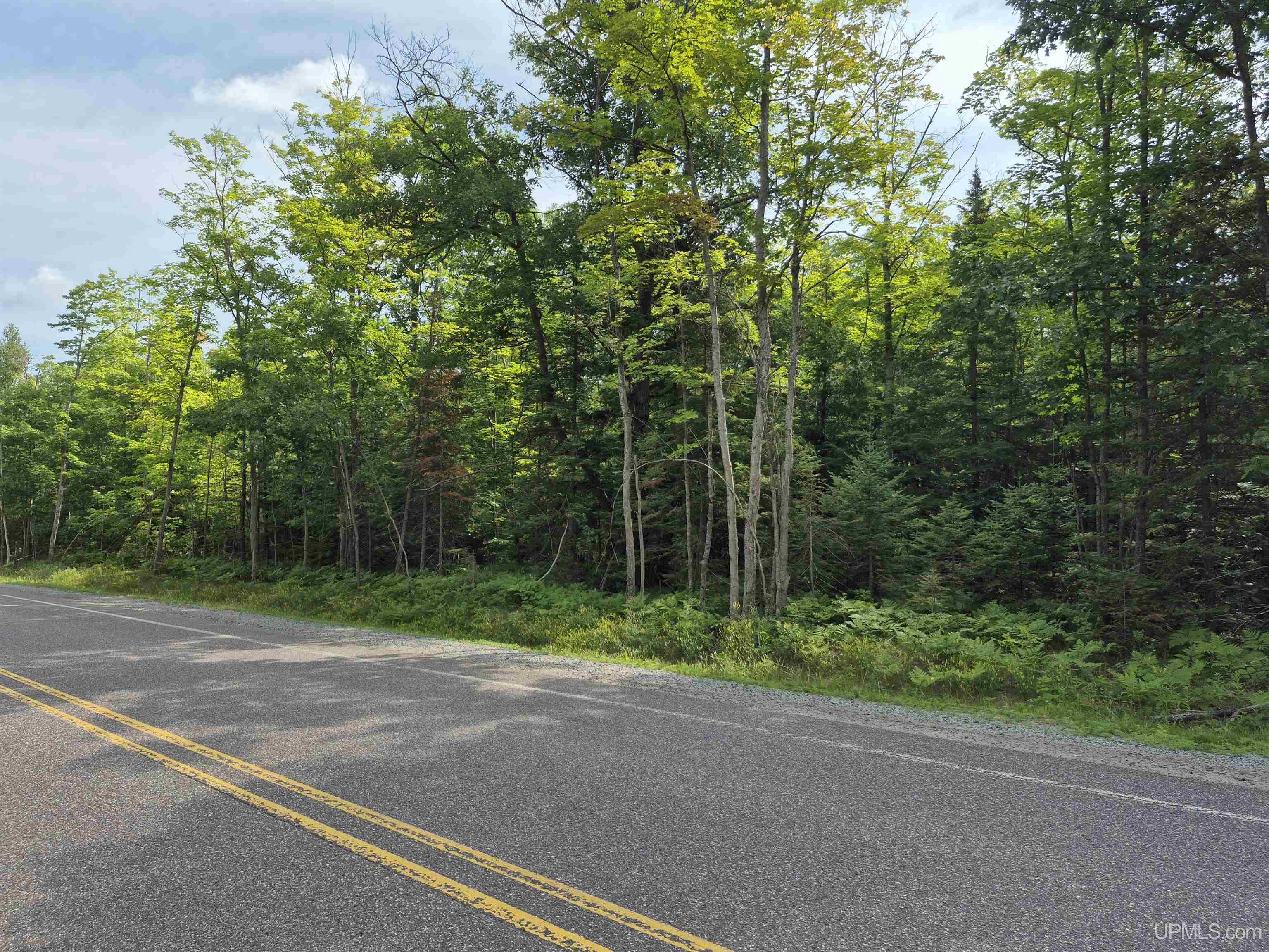 MLS 50183398 Large photo number 5 