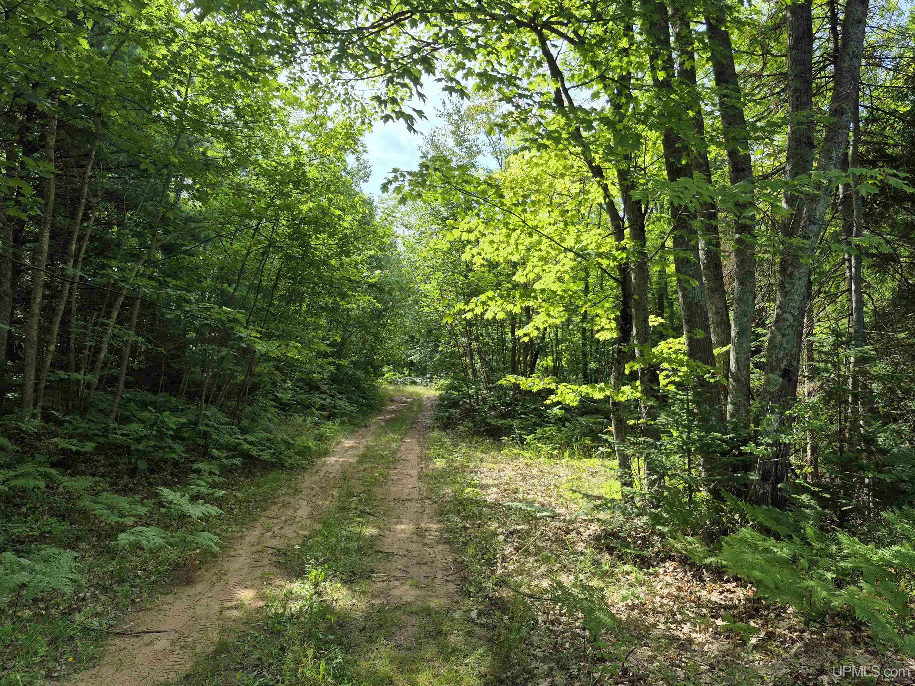 MLS 50183398 Large photo number 6 