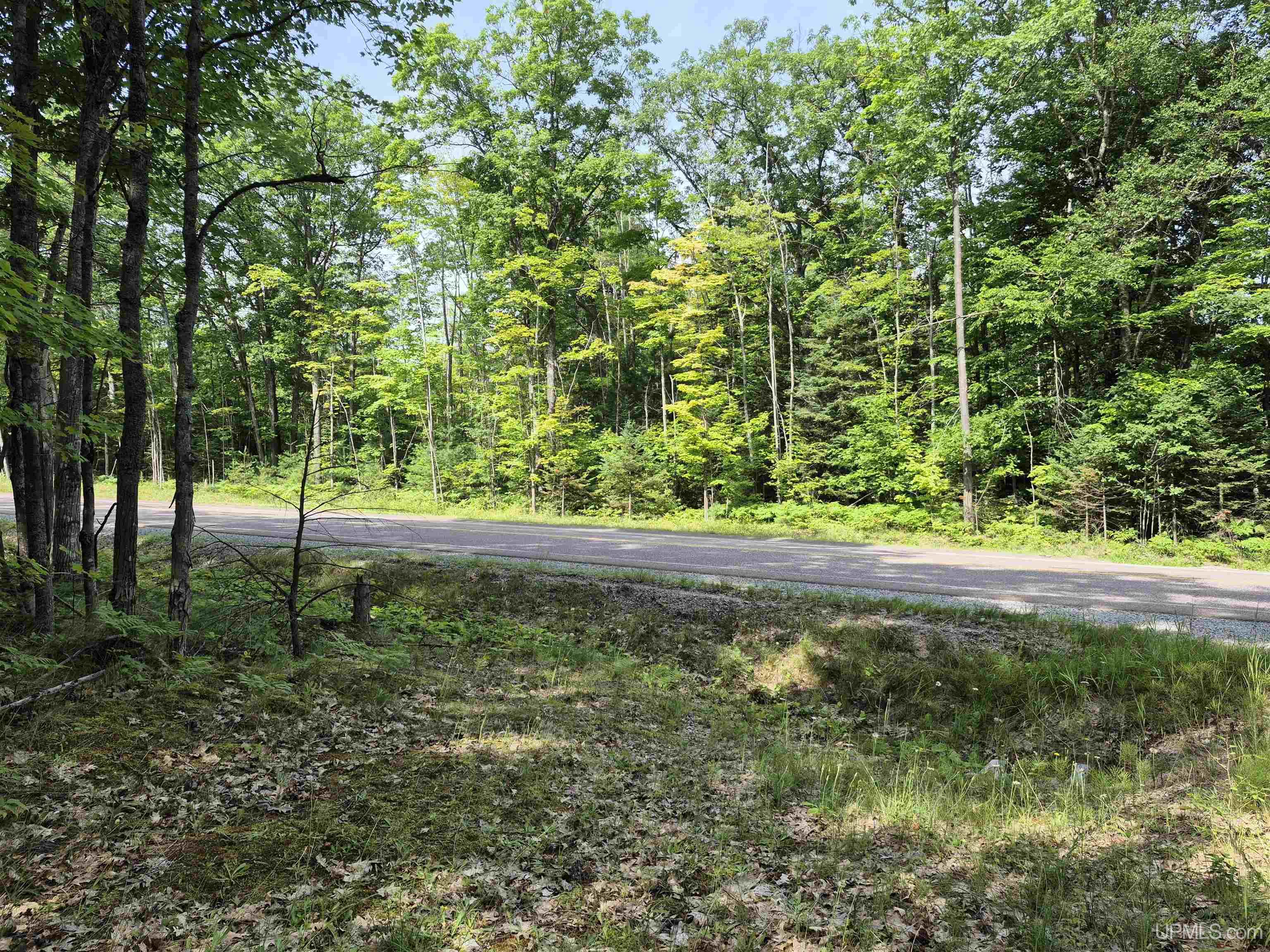 MLS 50183398 Large photo number 7 