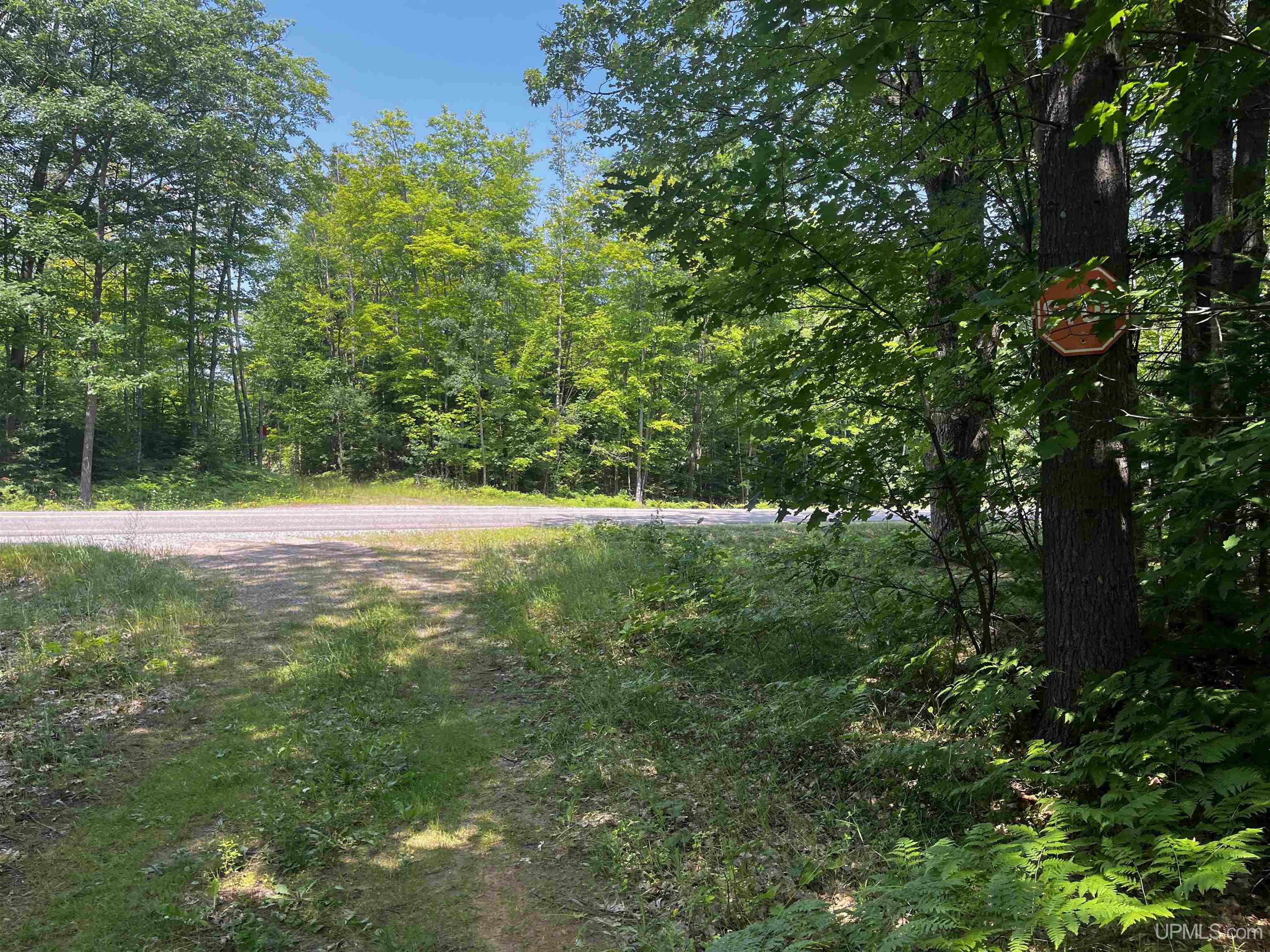 MLS 50183398 Large photo number 8 
