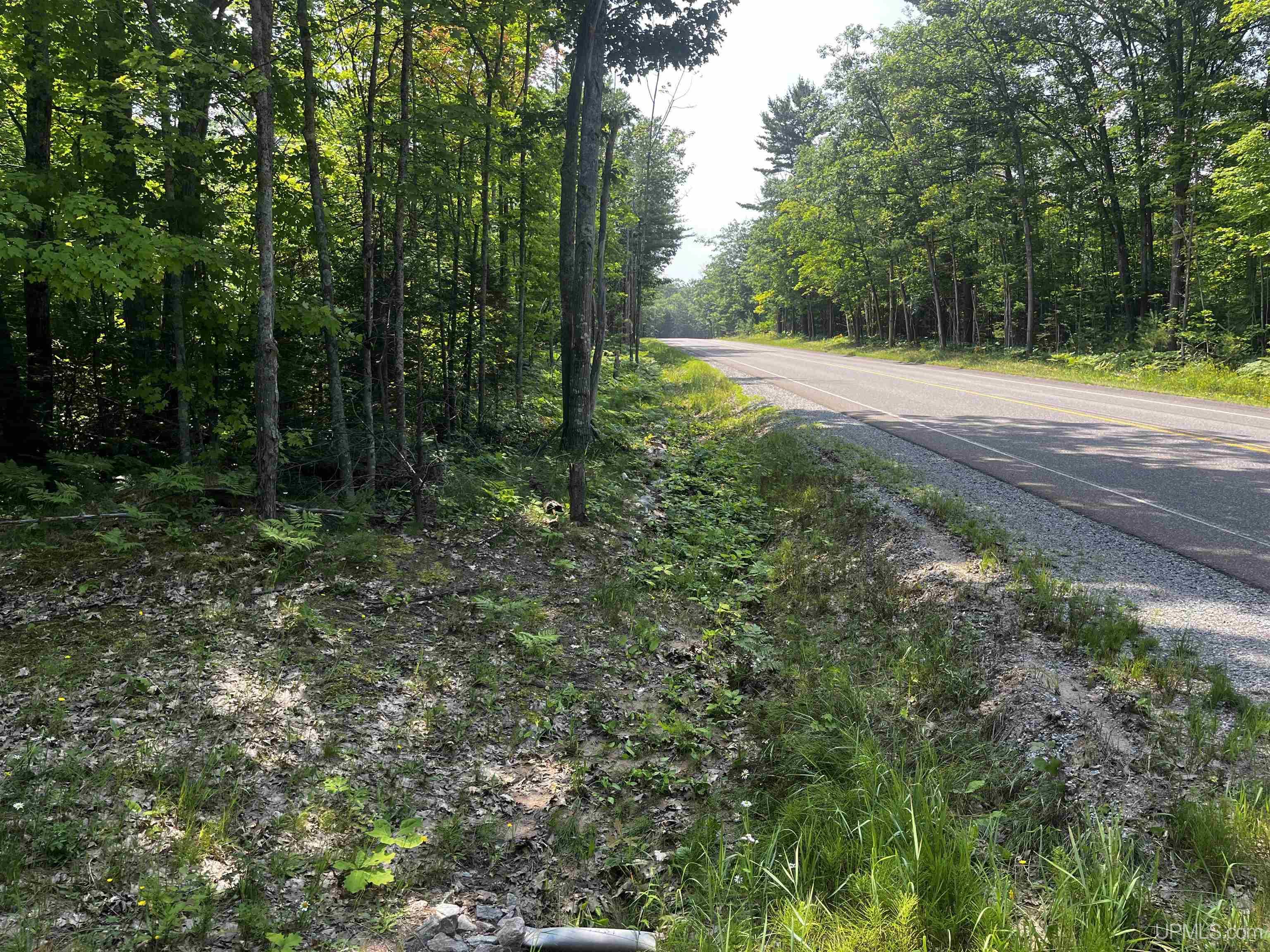 MLS 50183398 Large photo number 10 