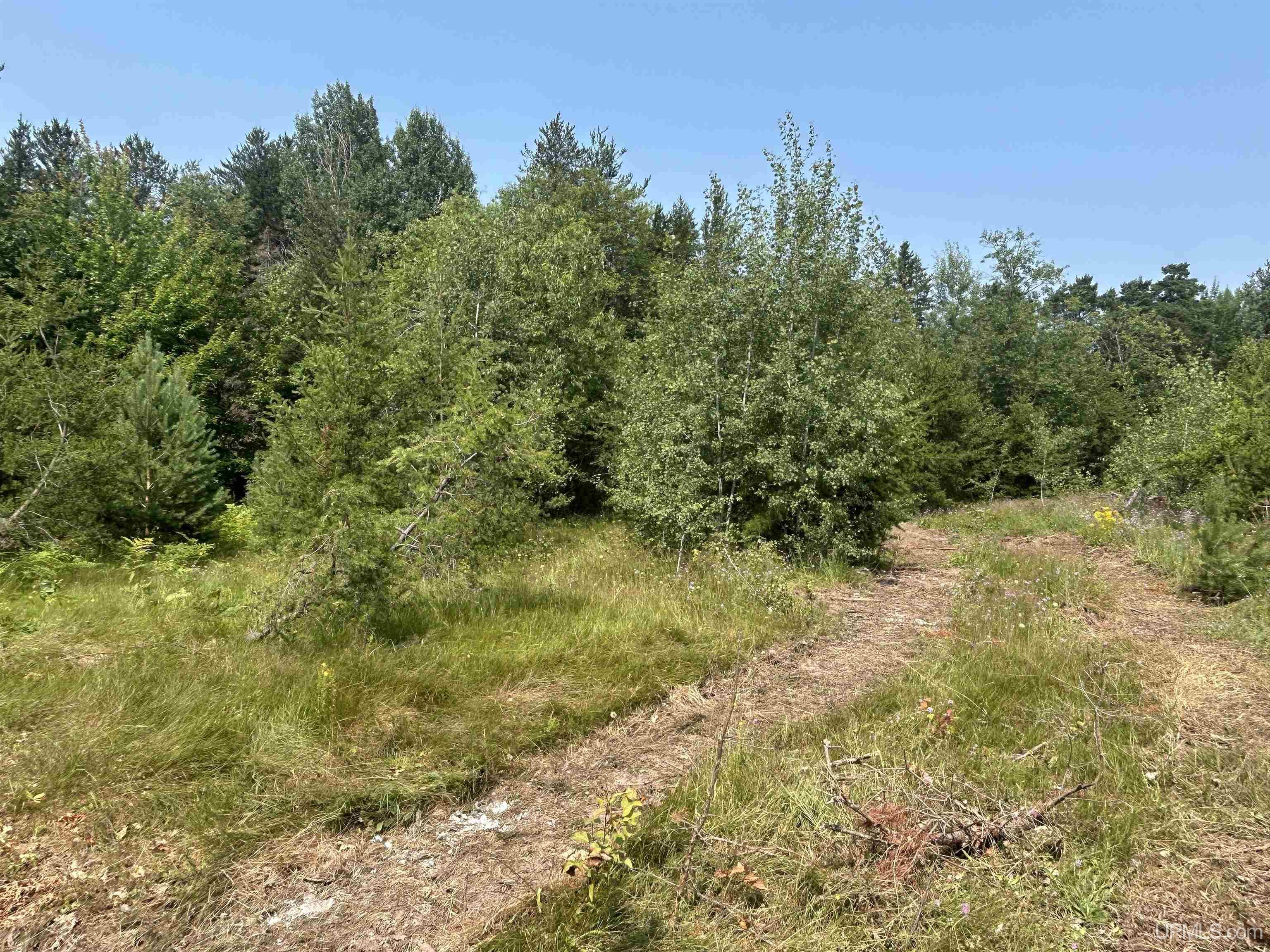 MLS 50183675 Large photo number 13 