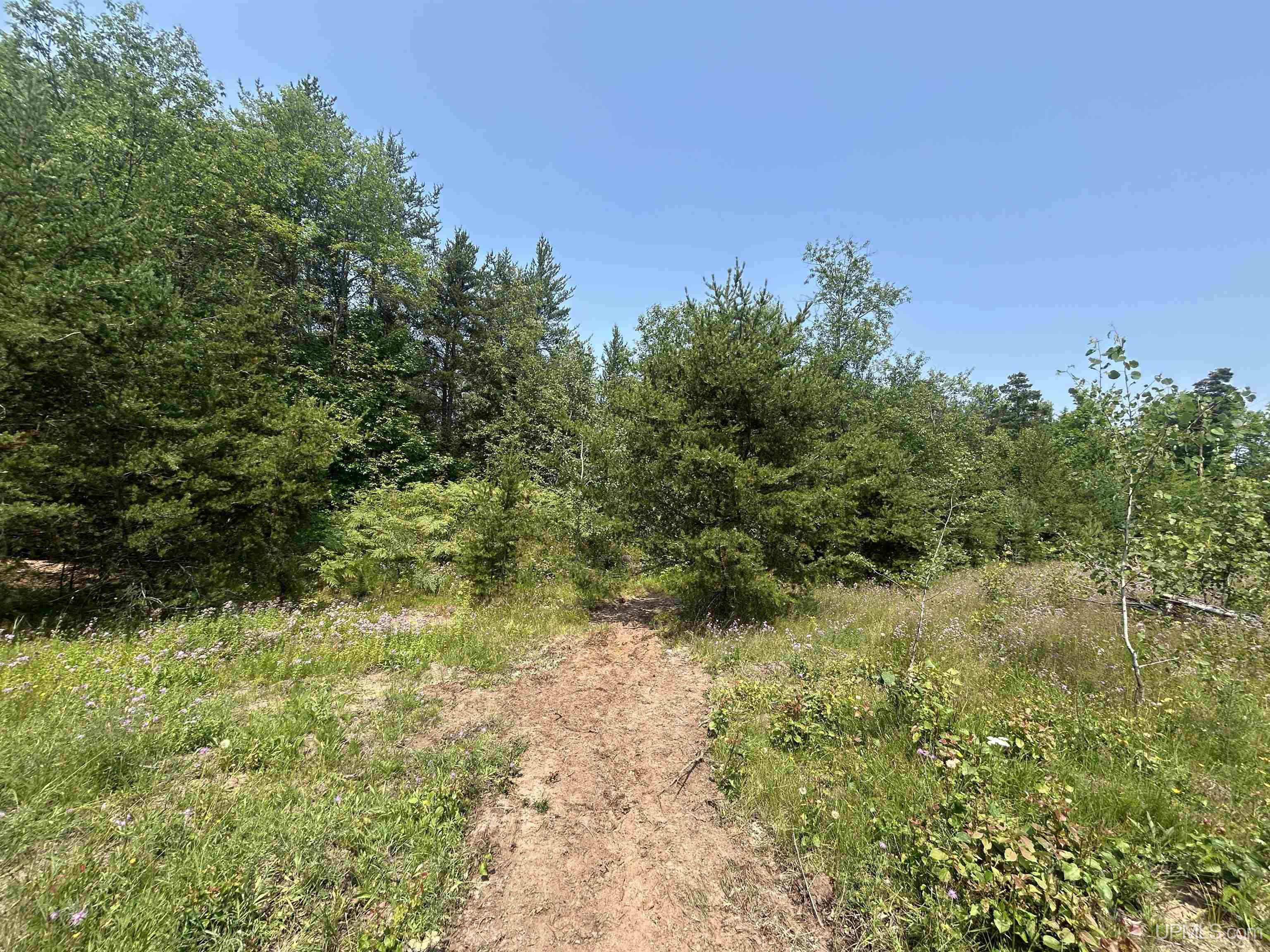 MLS 50183686 Large photo number 14 