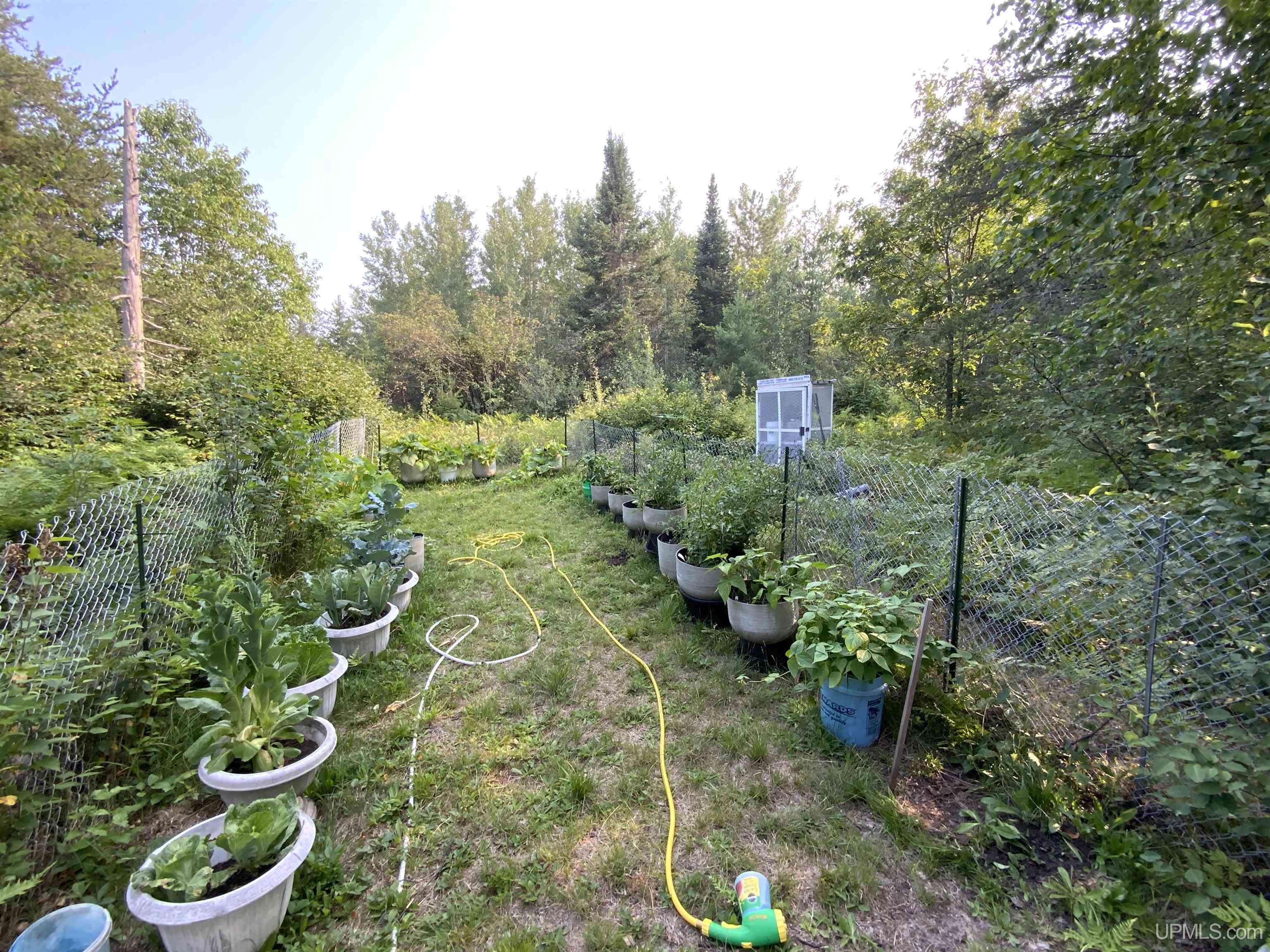 MLS 50183760 Large photo number 22 