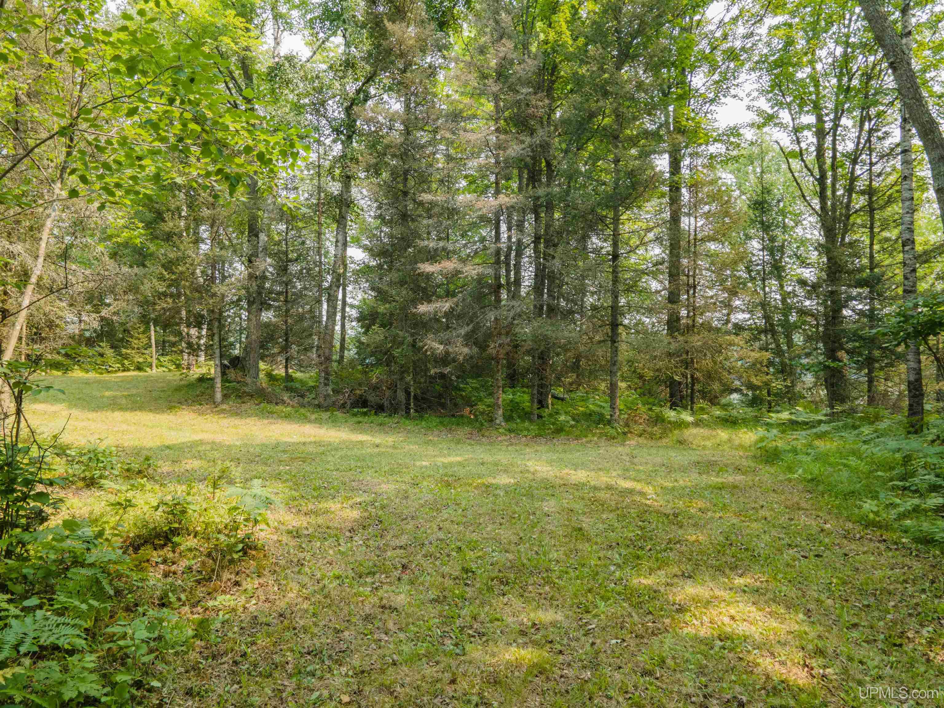 MLS 50184170 Large photo number 3 