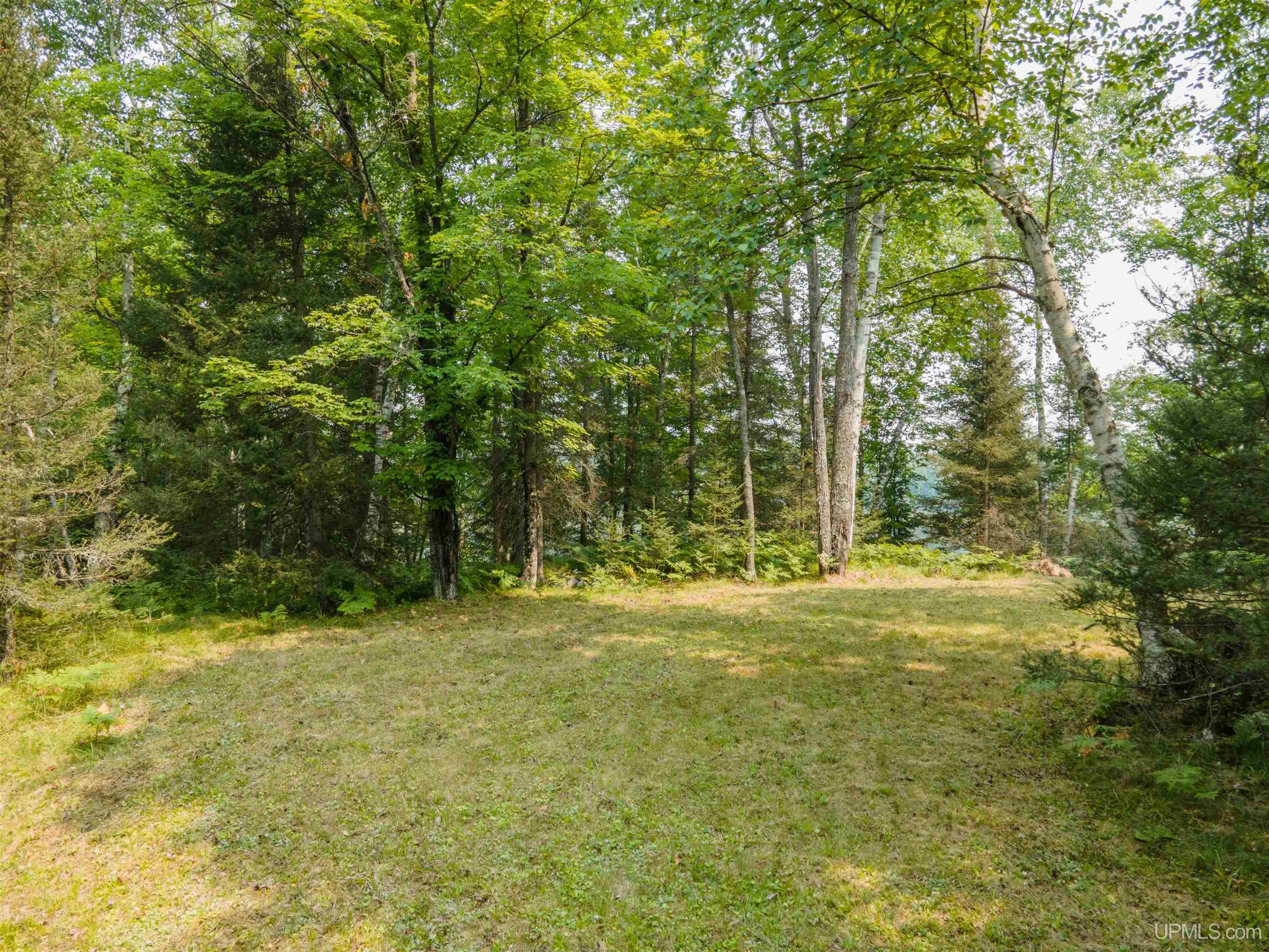 MLS 50184170 Large photo number 4 