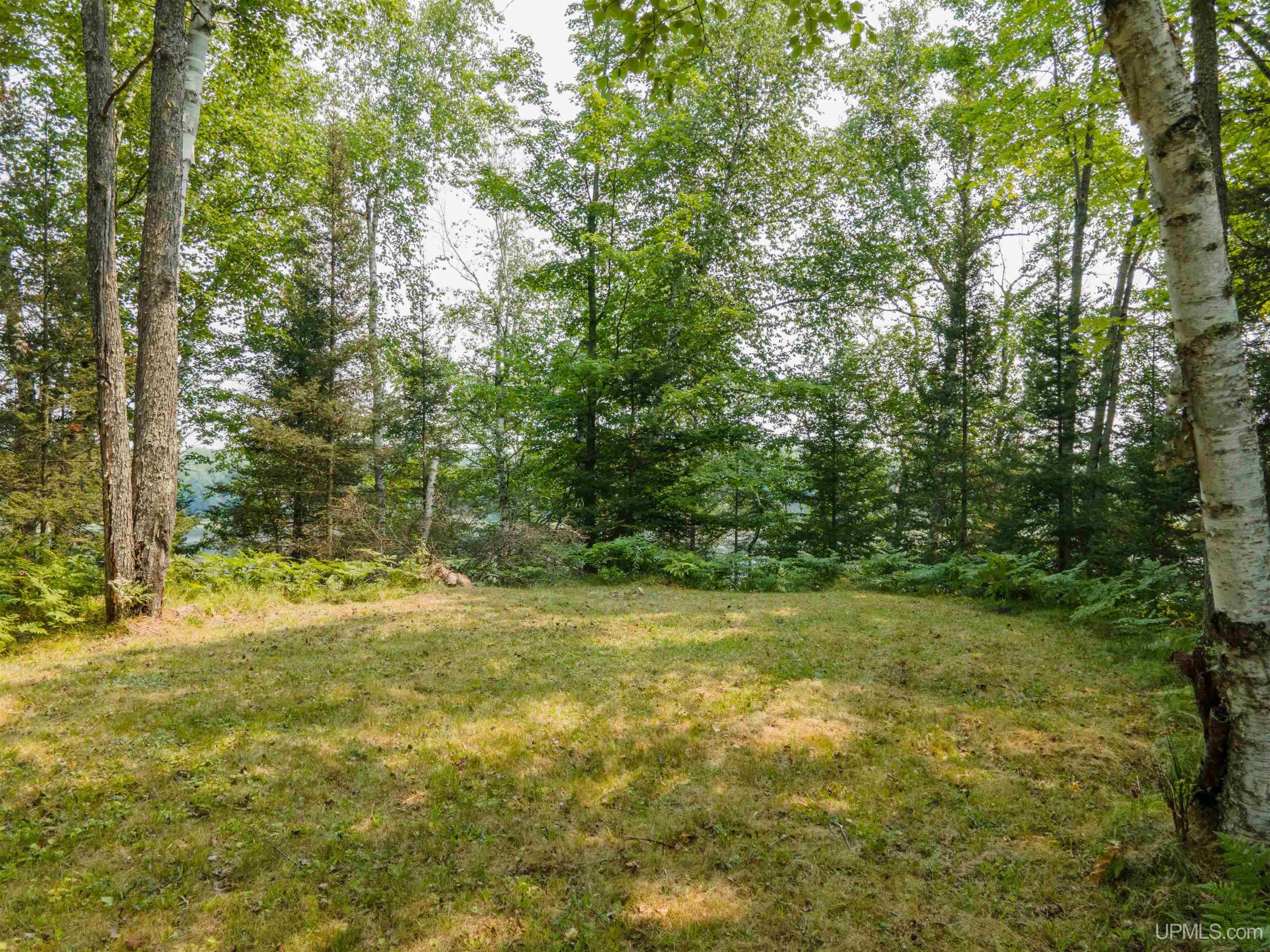 MLS 50184170 Large photo number 5 