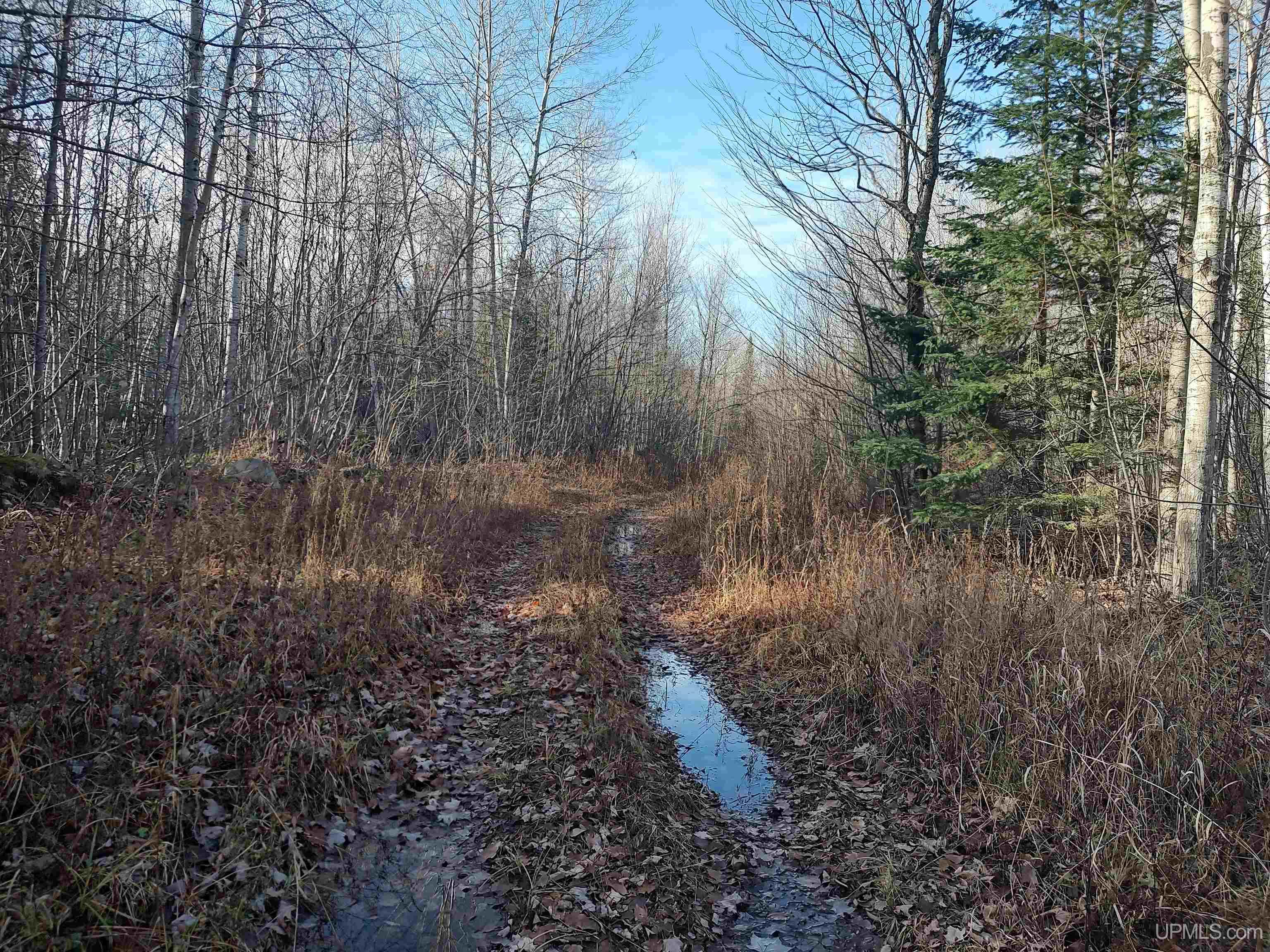 MLS 50184509 Large photo number 2 