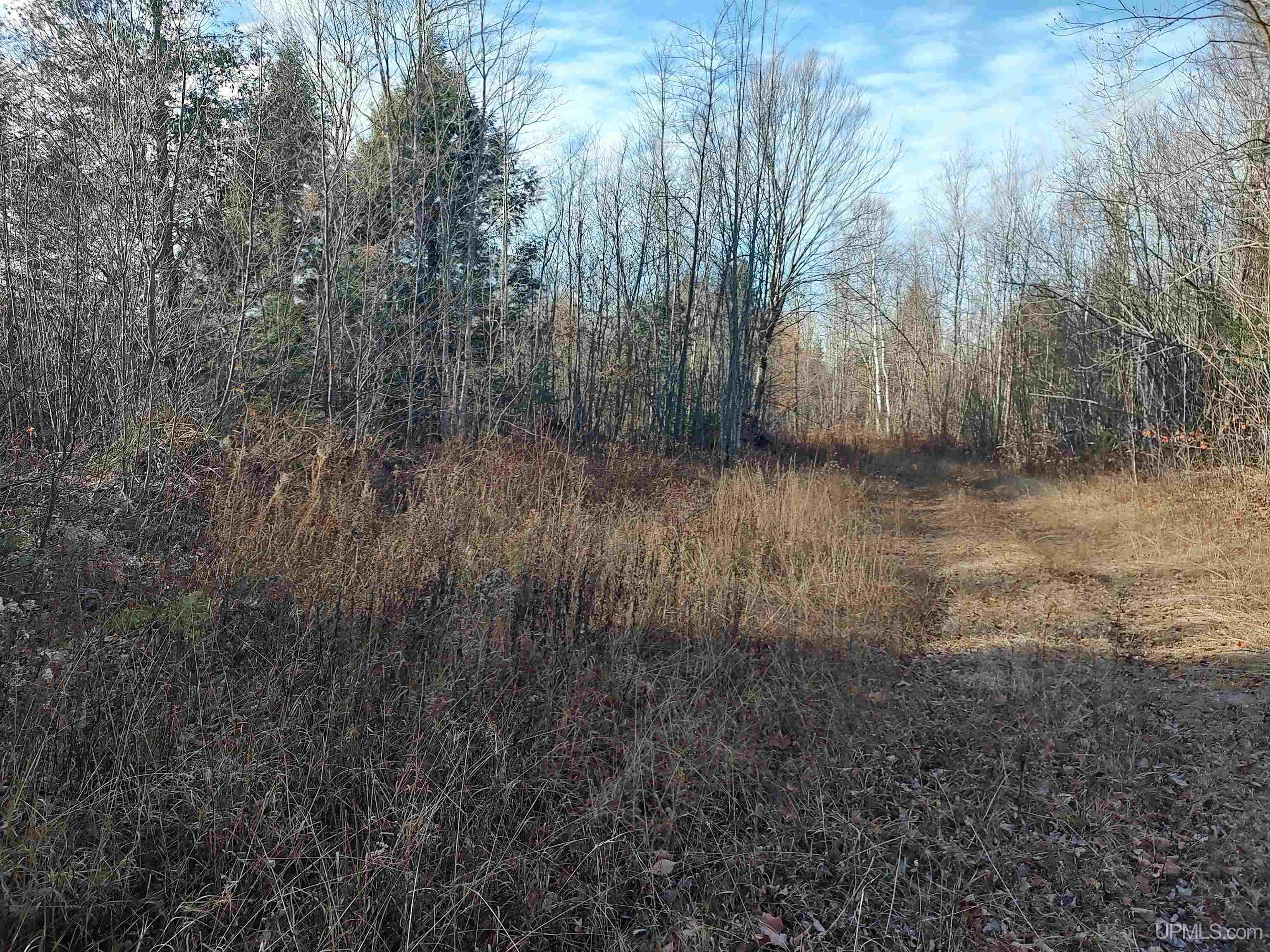 MLS 50184509 Large photo number 11 