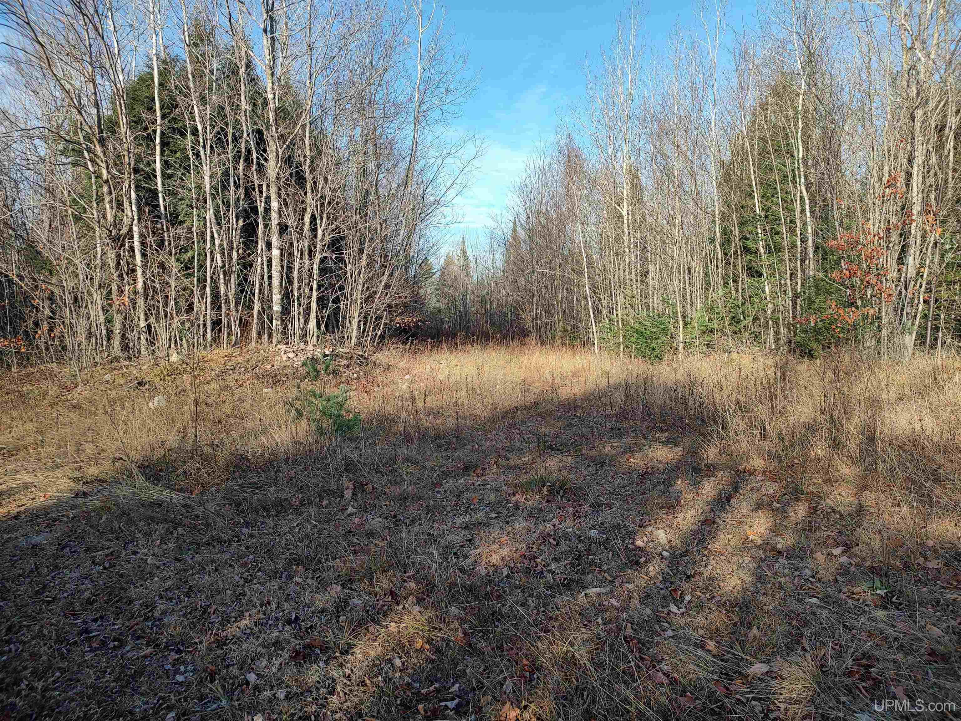 MLS 50184509 Large photo number 12 