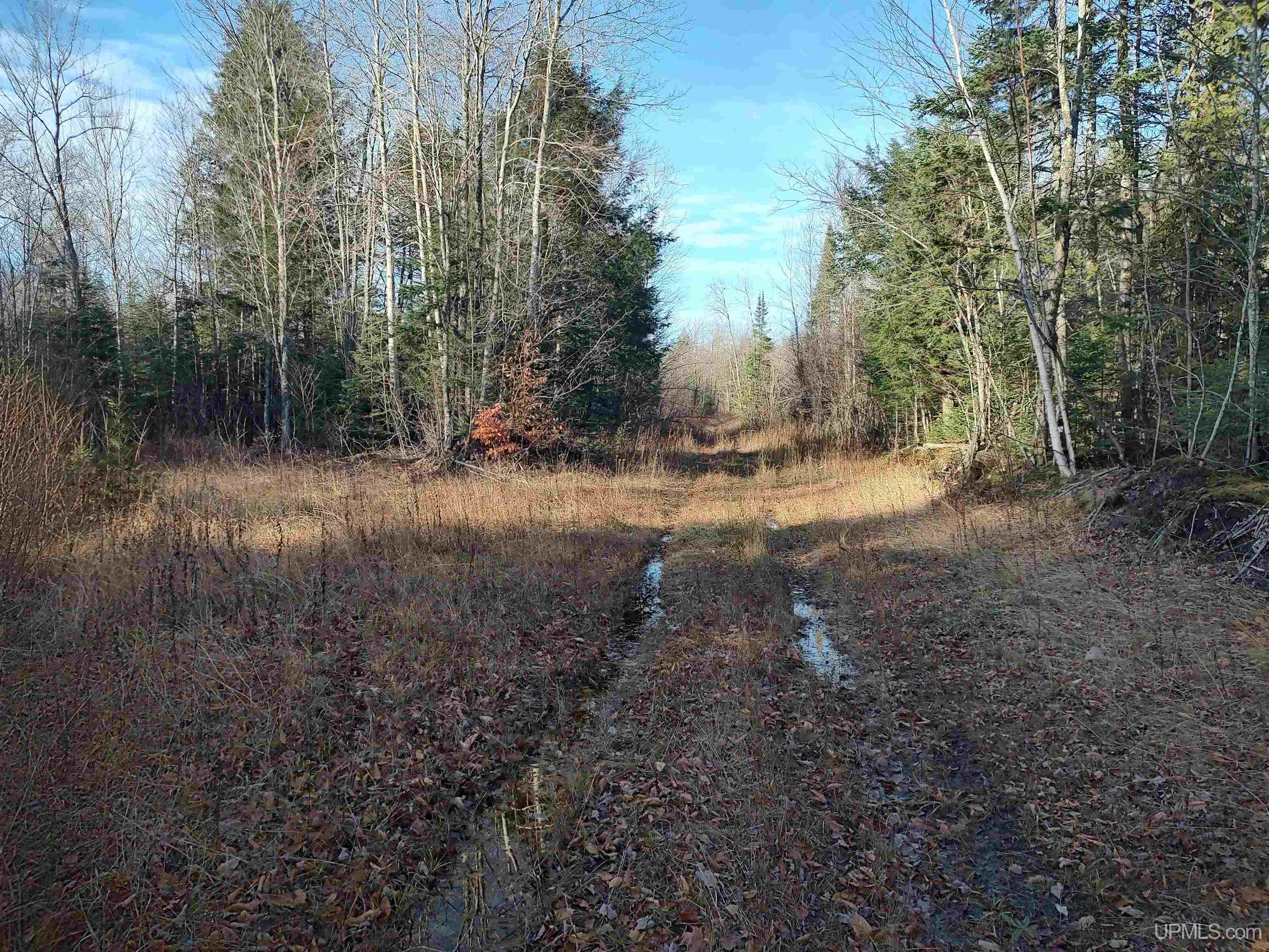 MLS 50184509 Large photo number 7 