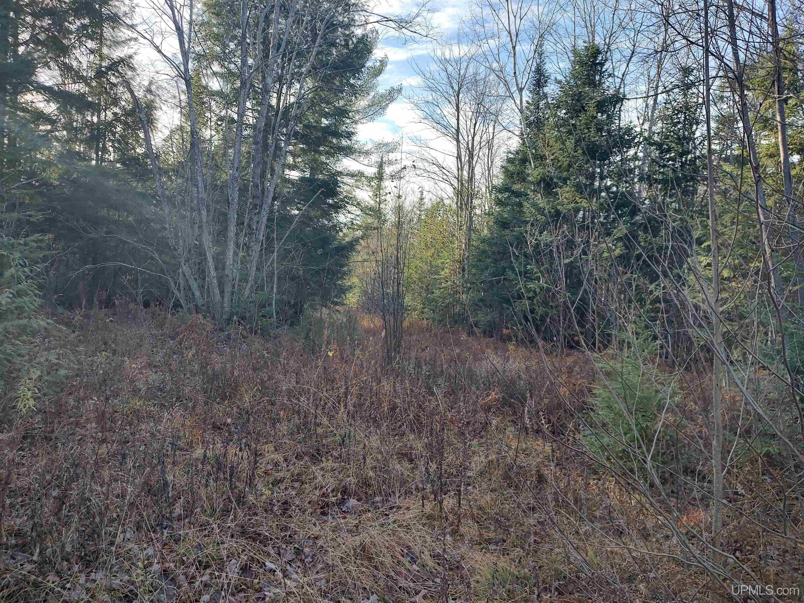 MLS 50184509 Large photo number 8 