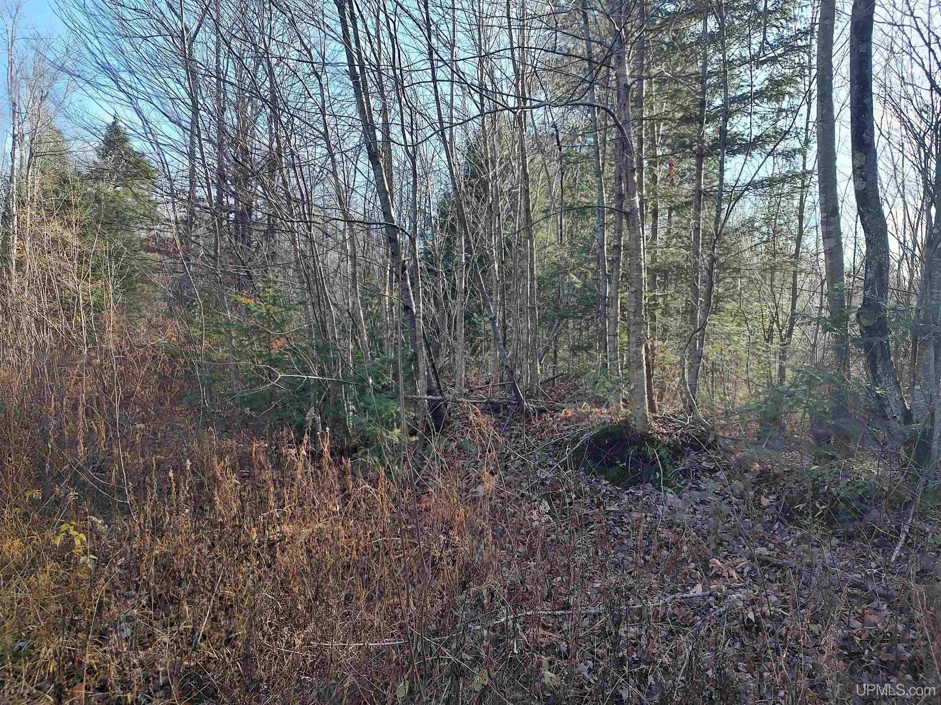 MLS 50184509 Large photo number 10 