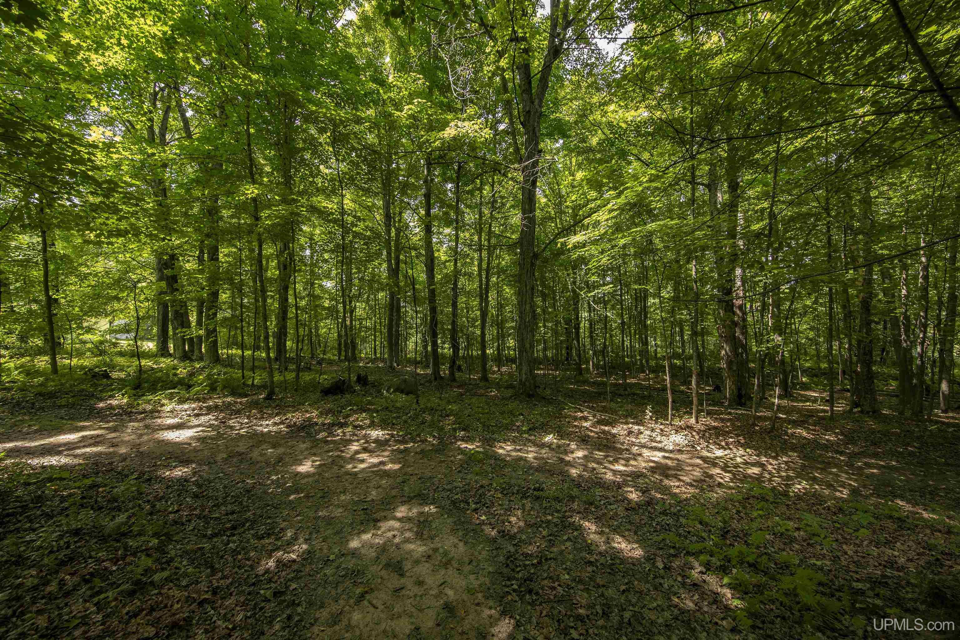 MLS 50185086 Large photo number 62 