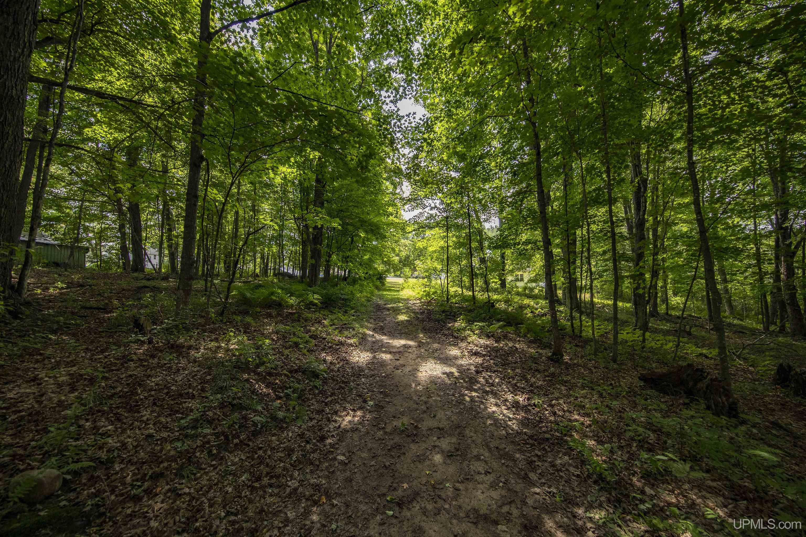 MLS 50185086 Large photo number 63 