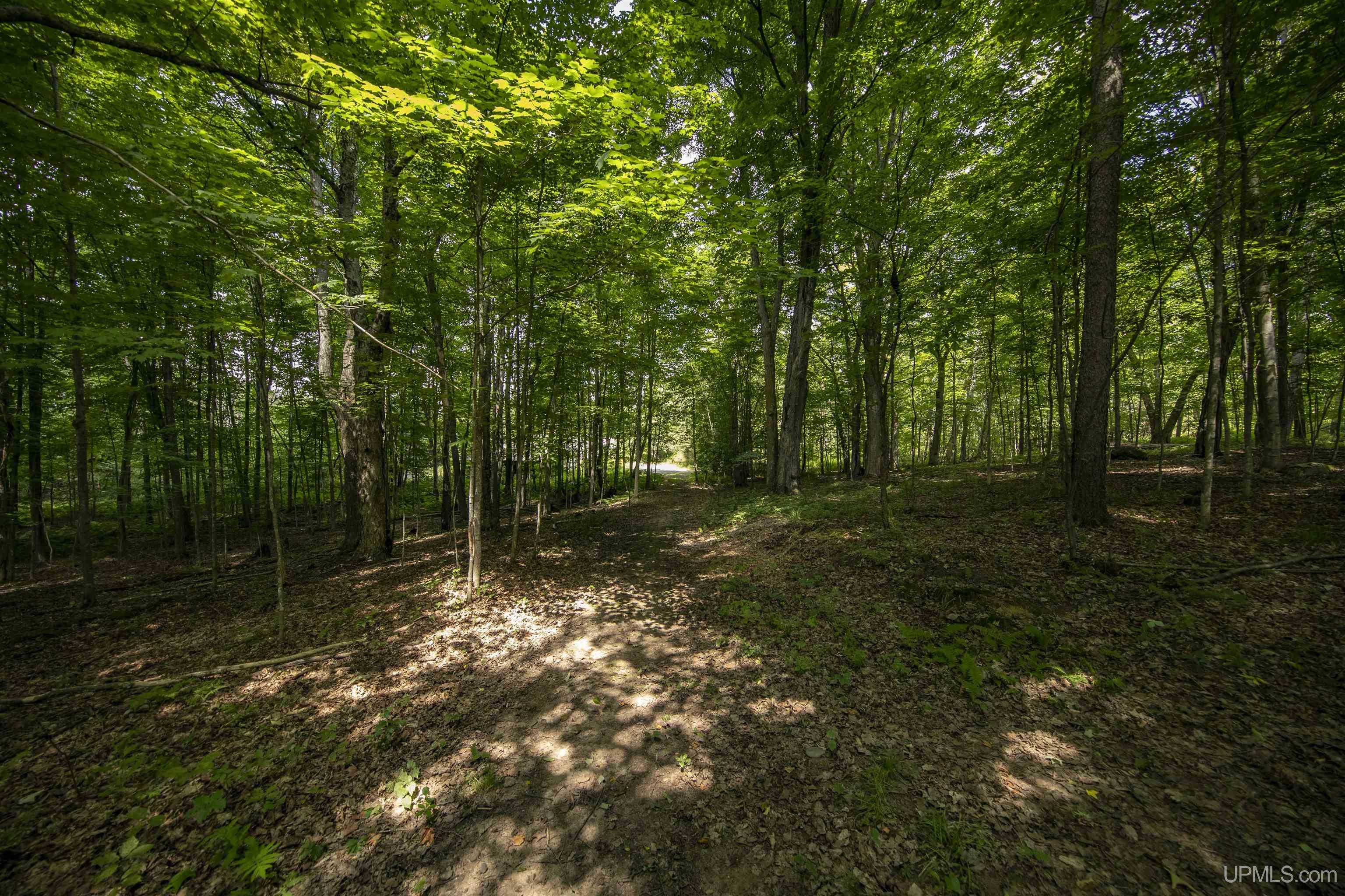 MLS 50185086 Large photo number 64 