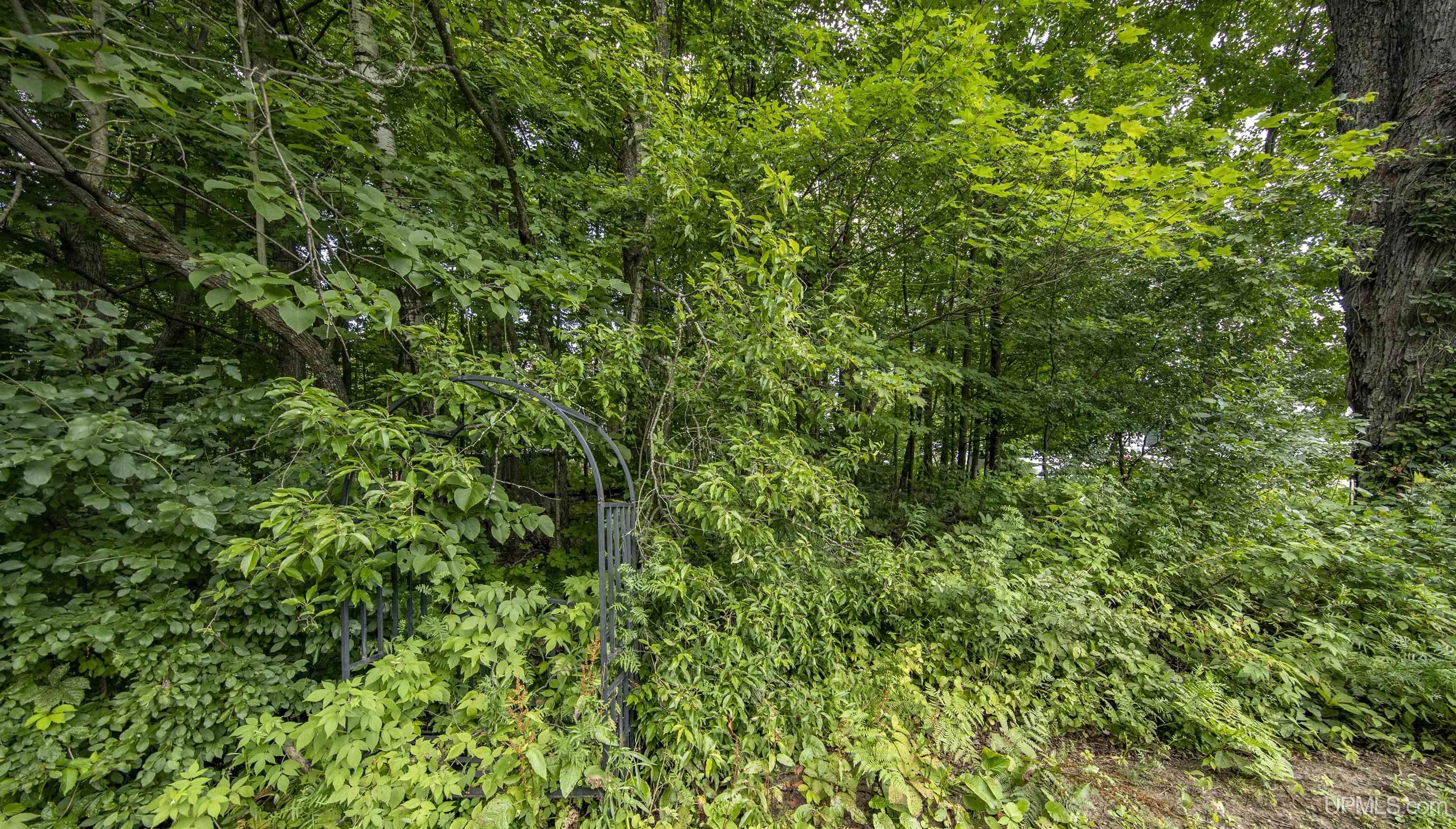 MLS 50185086 Large photo number 65 
