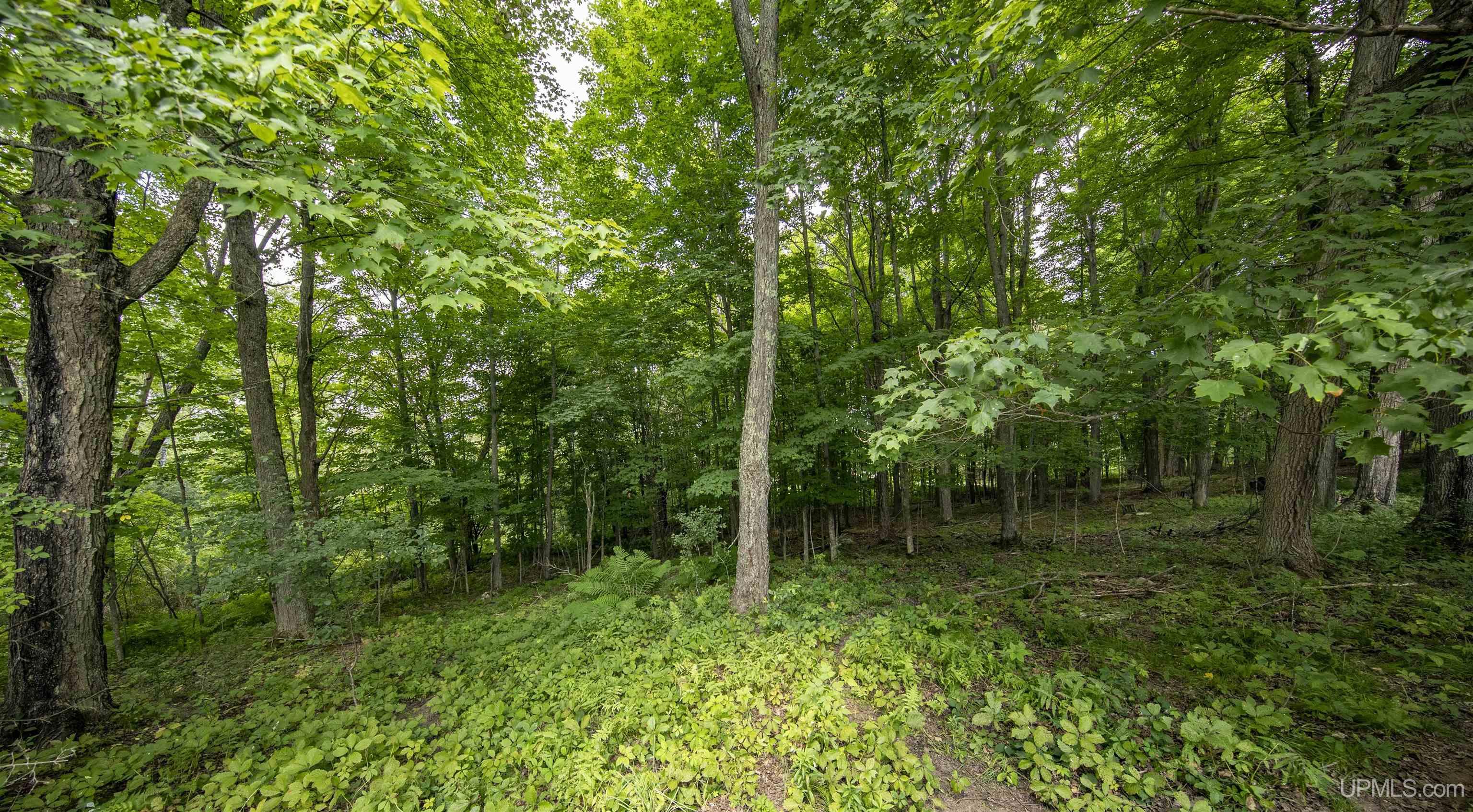 MLS 50185086 Large photo number 66 