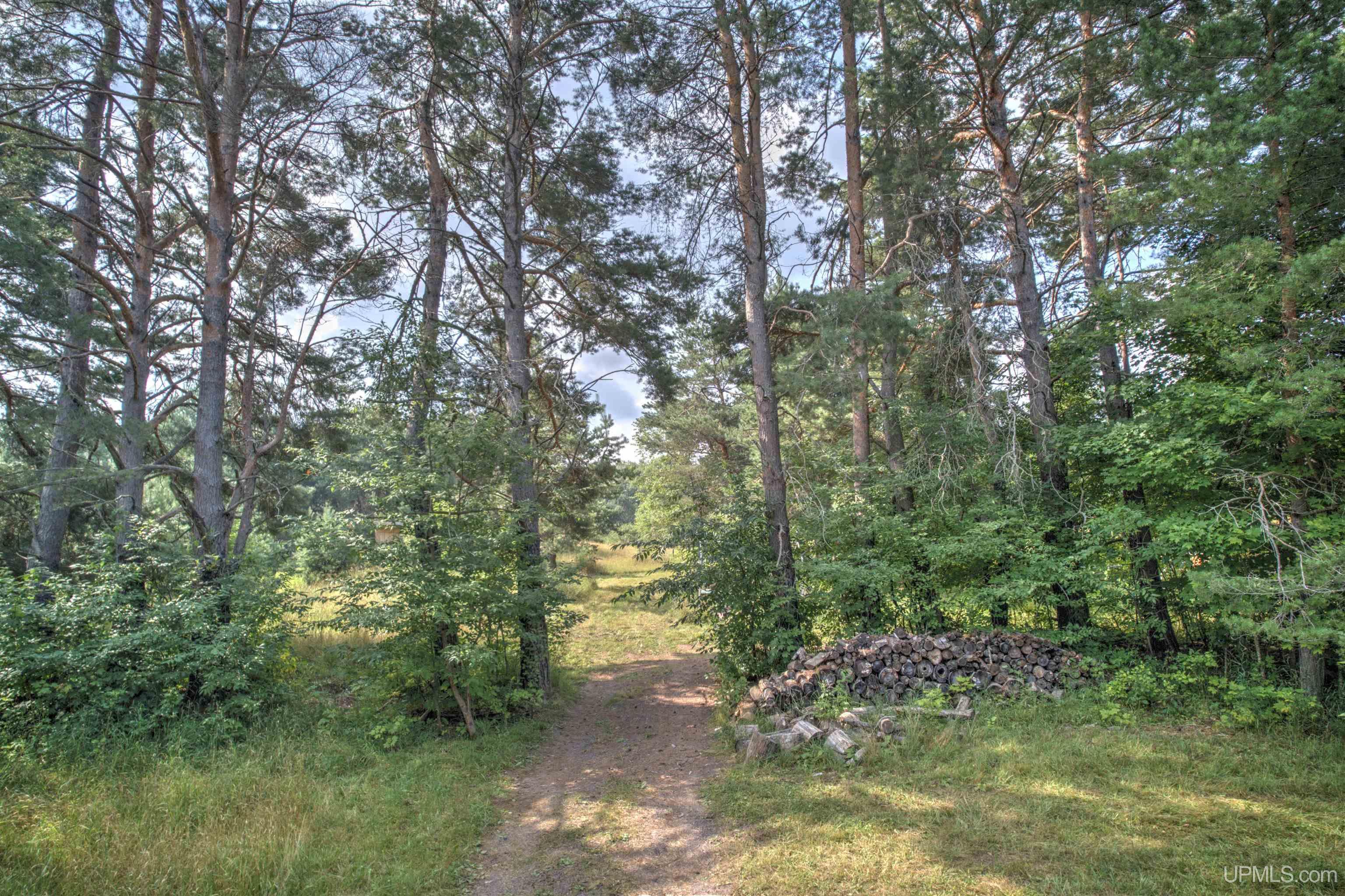 MLS 50185485 Large photo number 20 