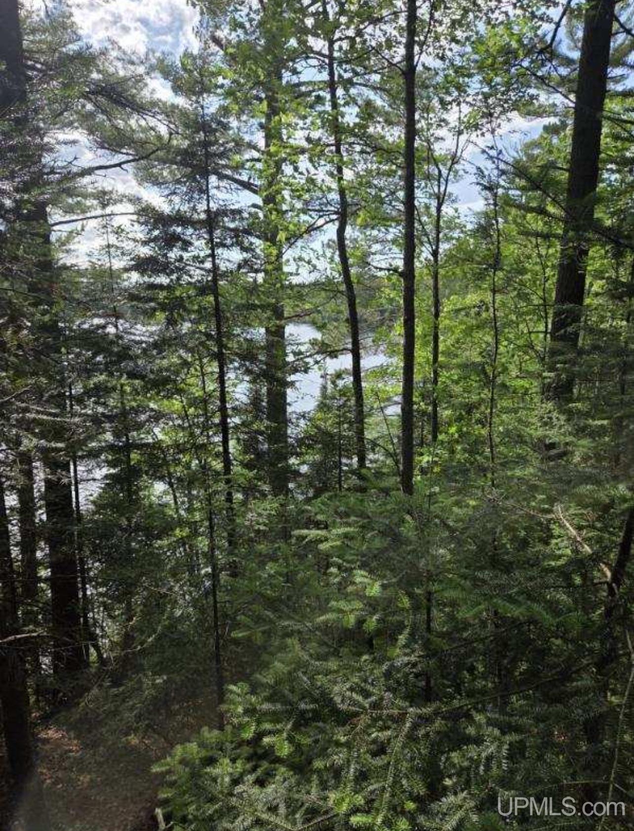 Land Listing MLS Number 50186255