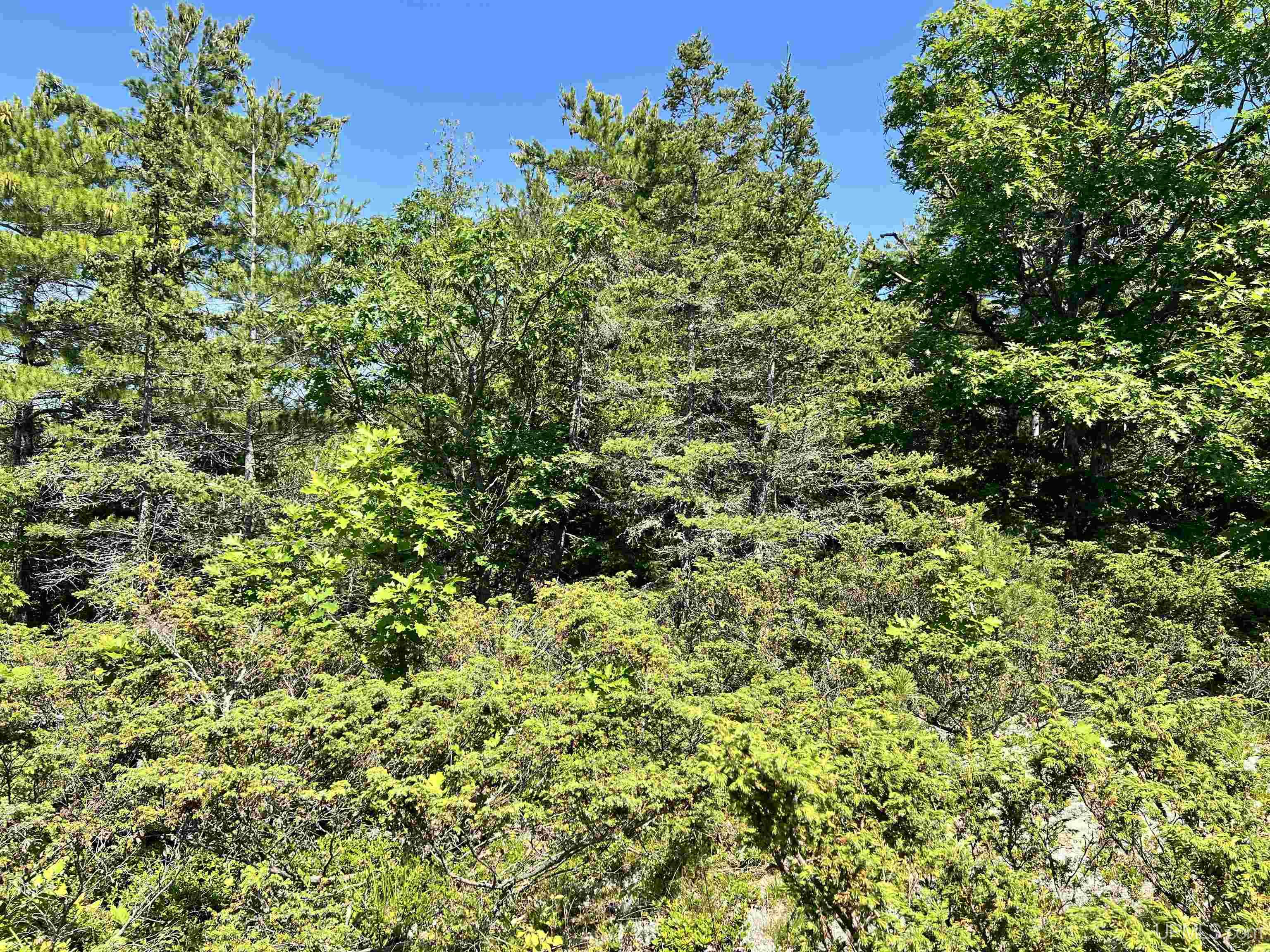 MLS 50187525 Large photo number 22 