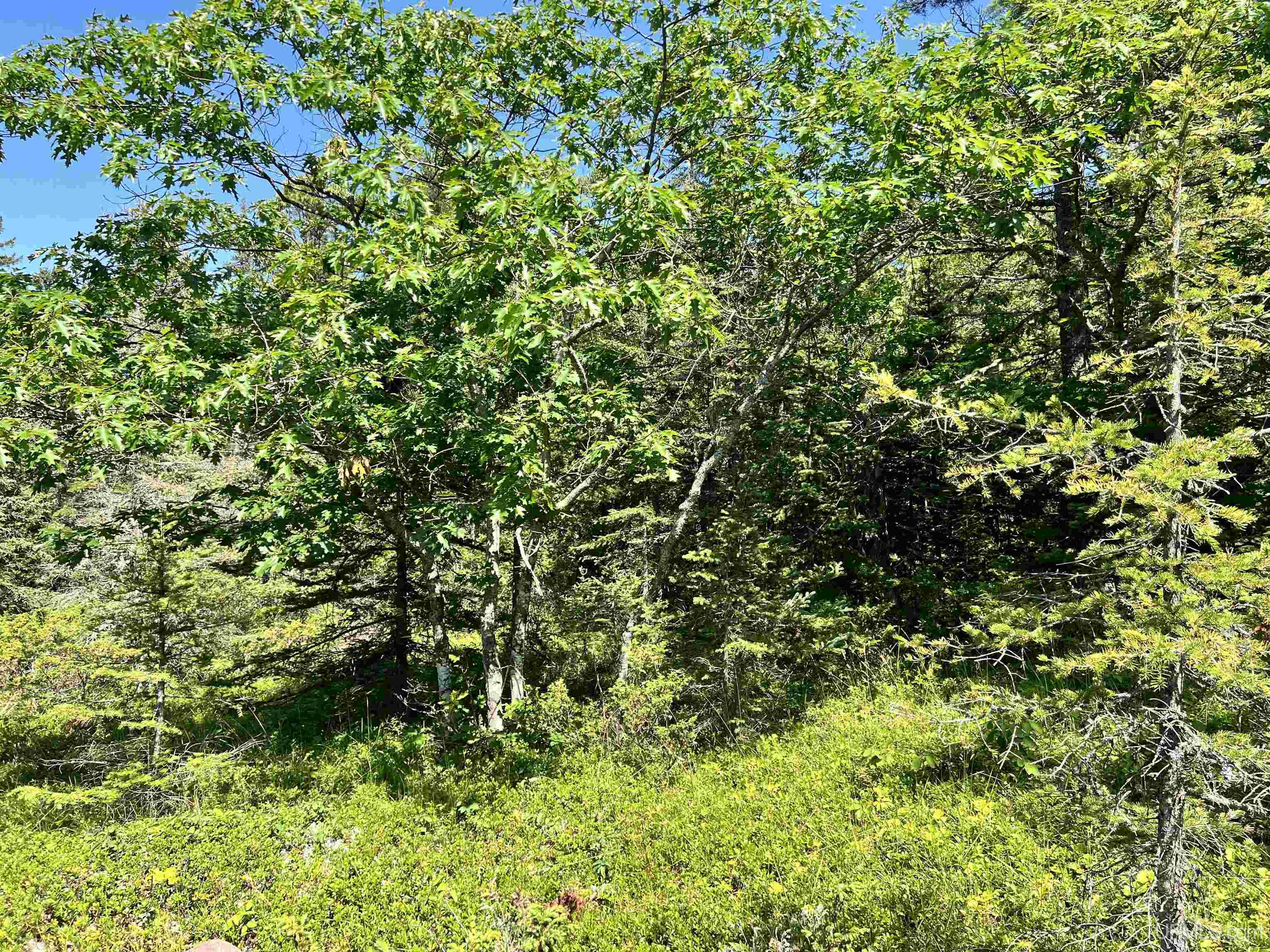 MLS 50187525 Large photo number 23 