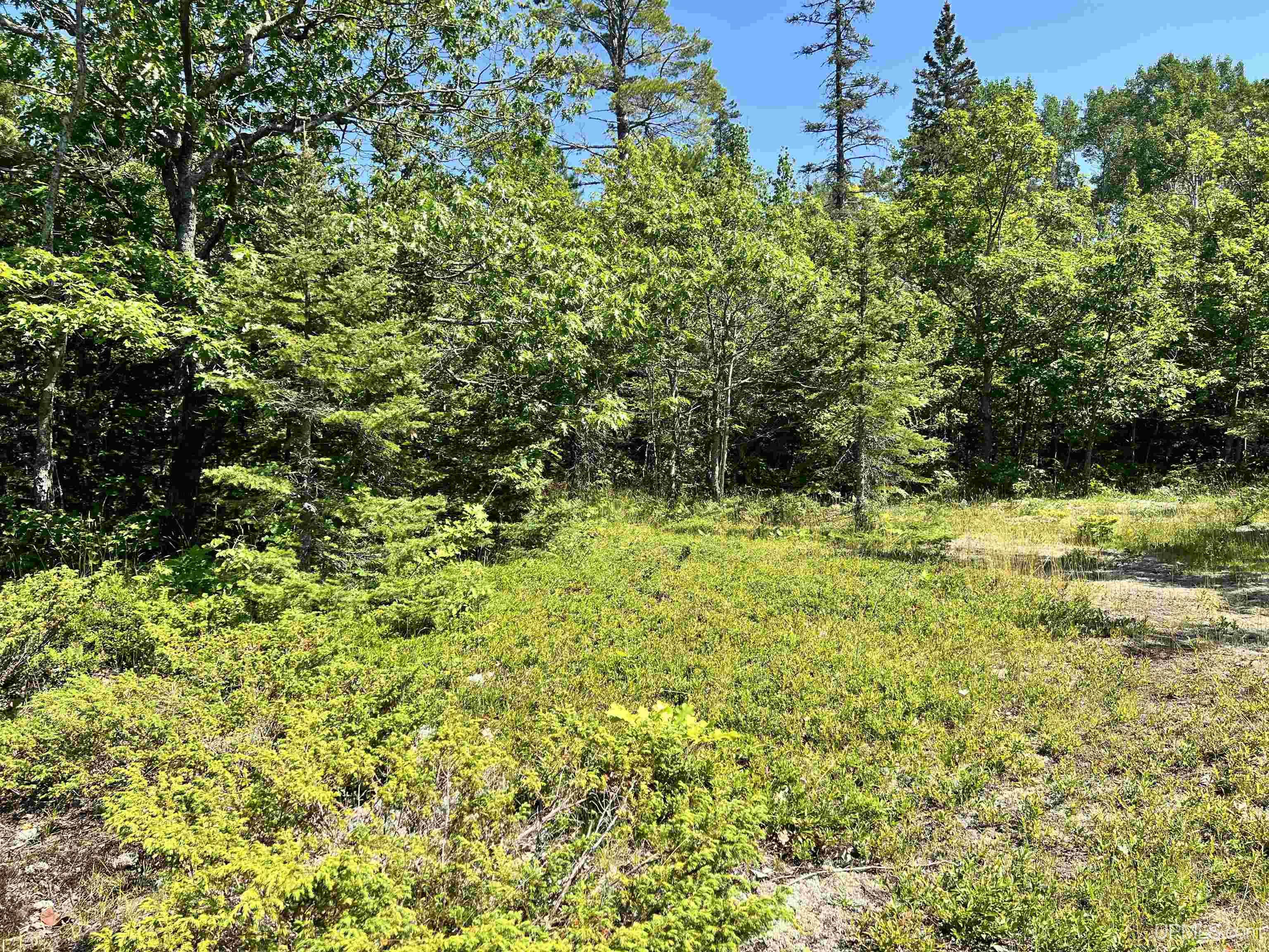 MLS 50187525 Large photo number 25 