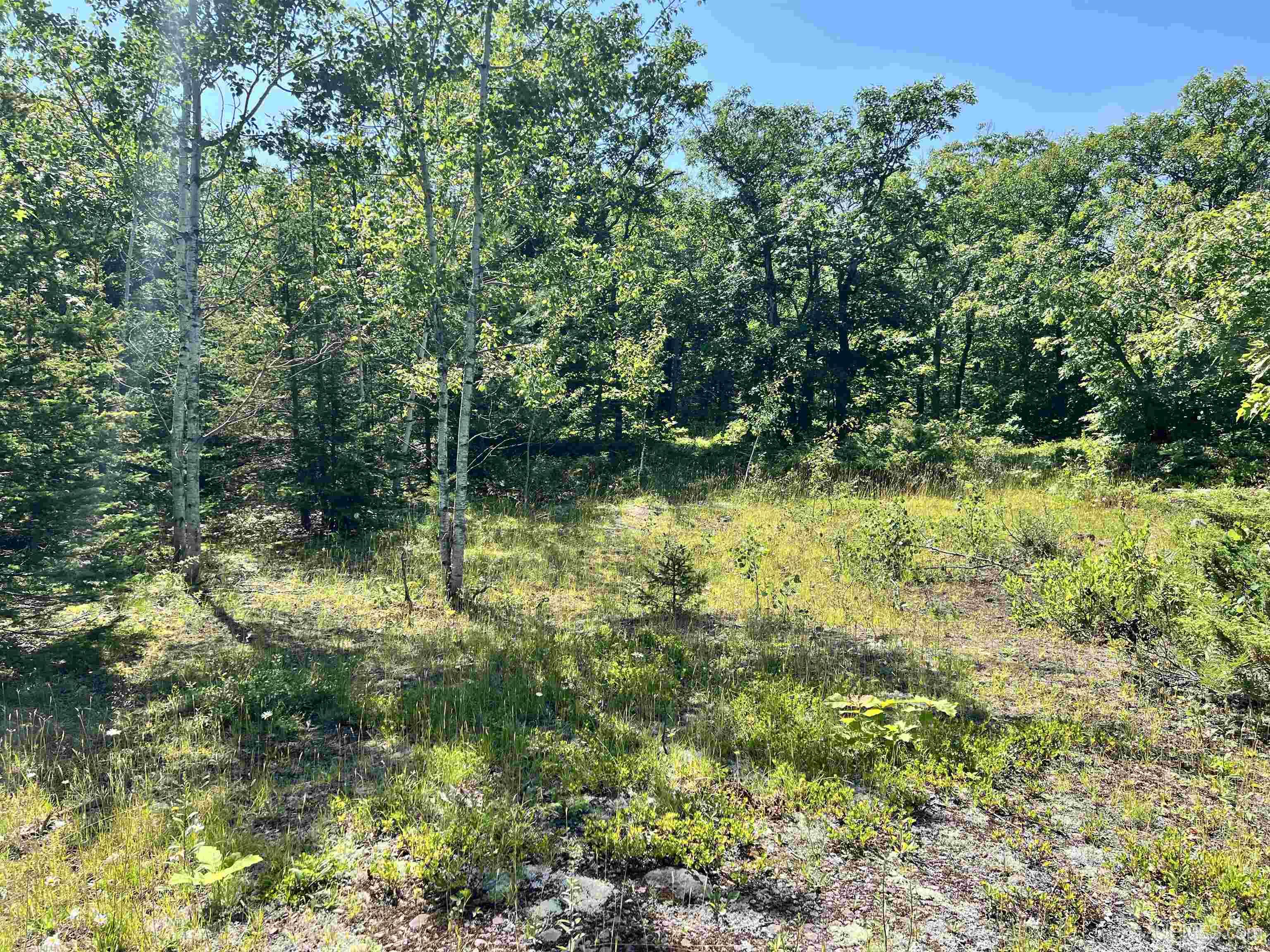 MLS 50187525 Large photo number 27 