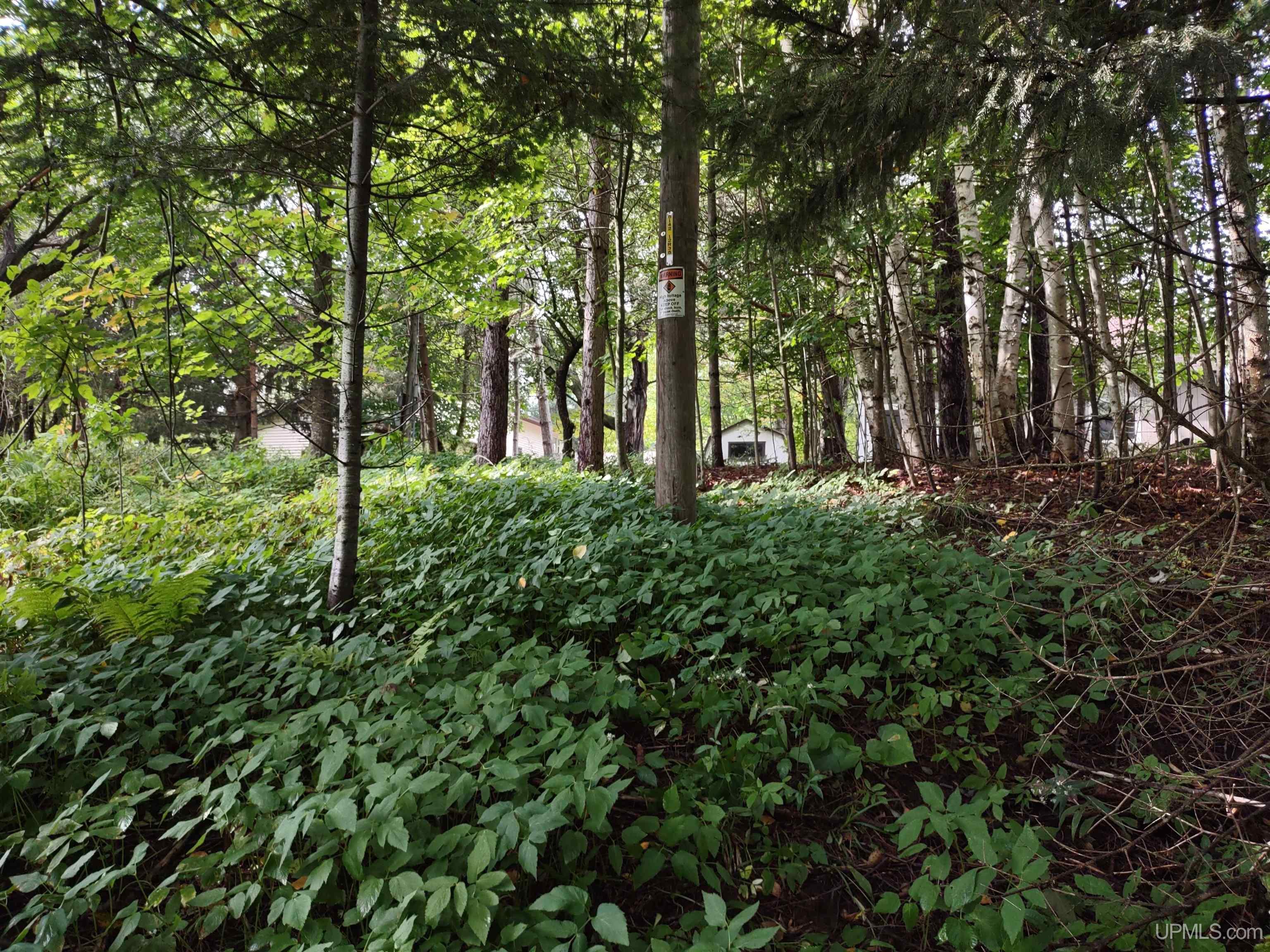 MLS 50187997 Large photo number 20 