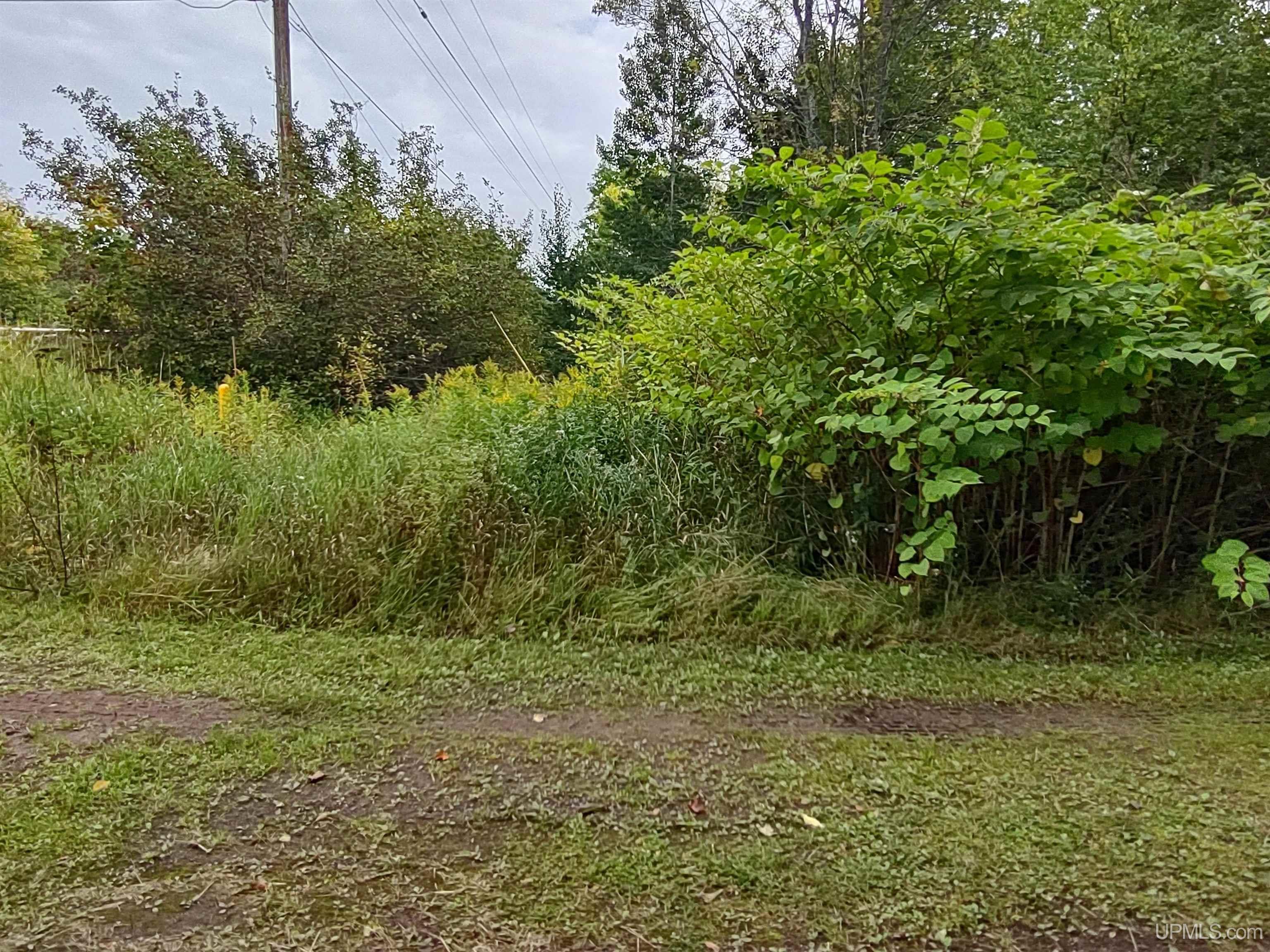 MLS 50187997 Large photo number 23 