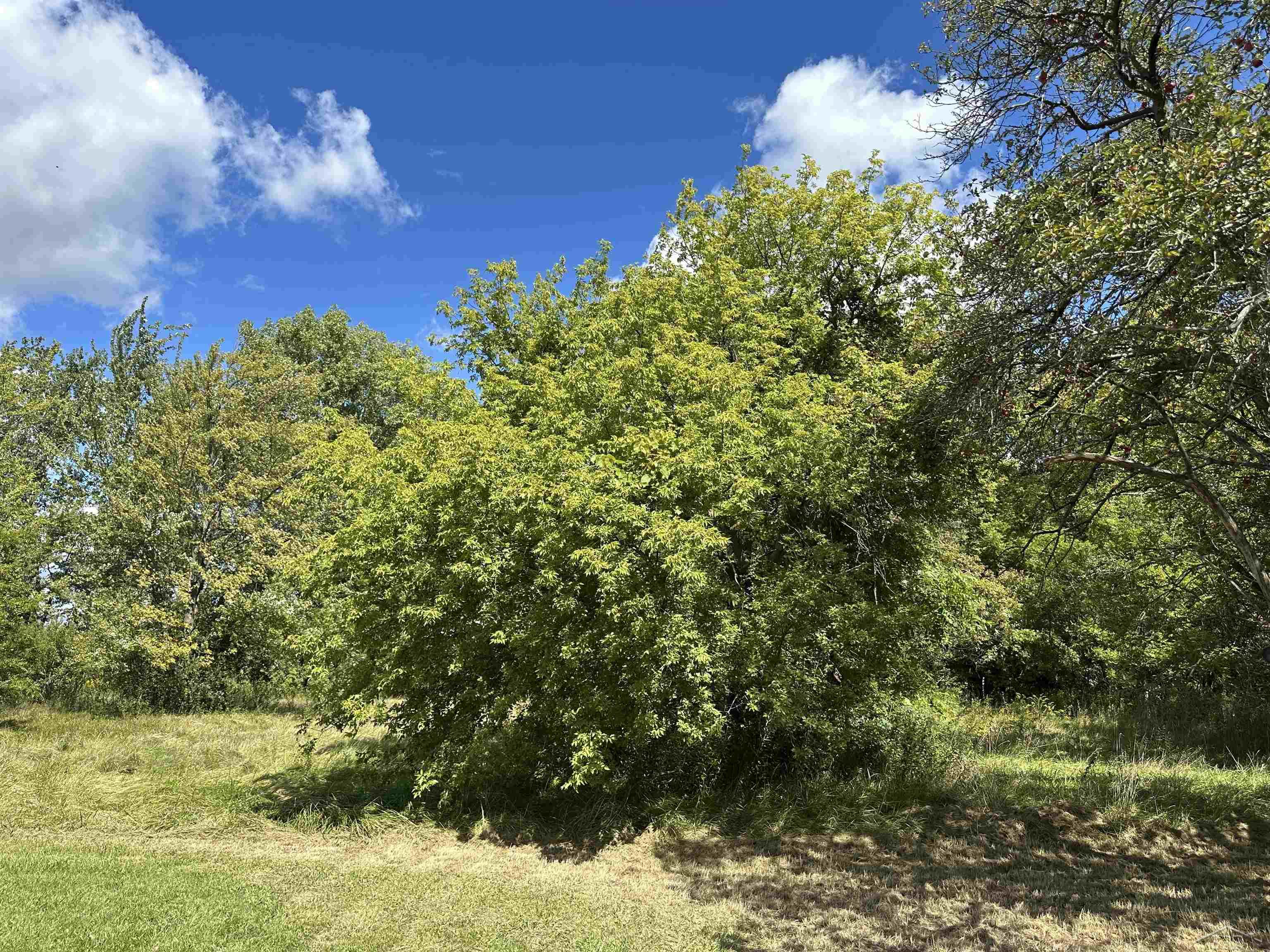 5665 East Road, Saginaw, MI, 48601