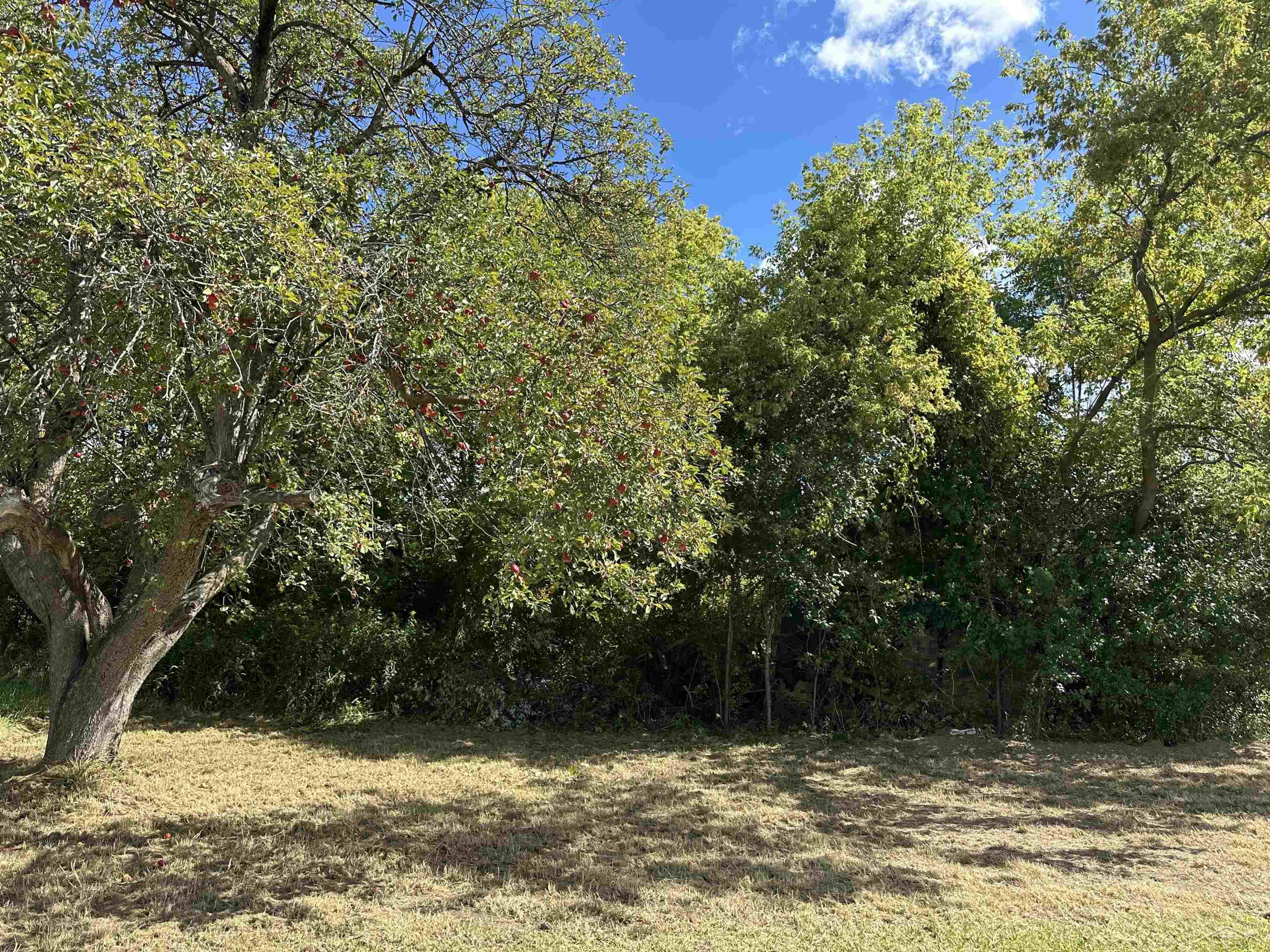 5665 East Road, Saginaw, MI, 48601