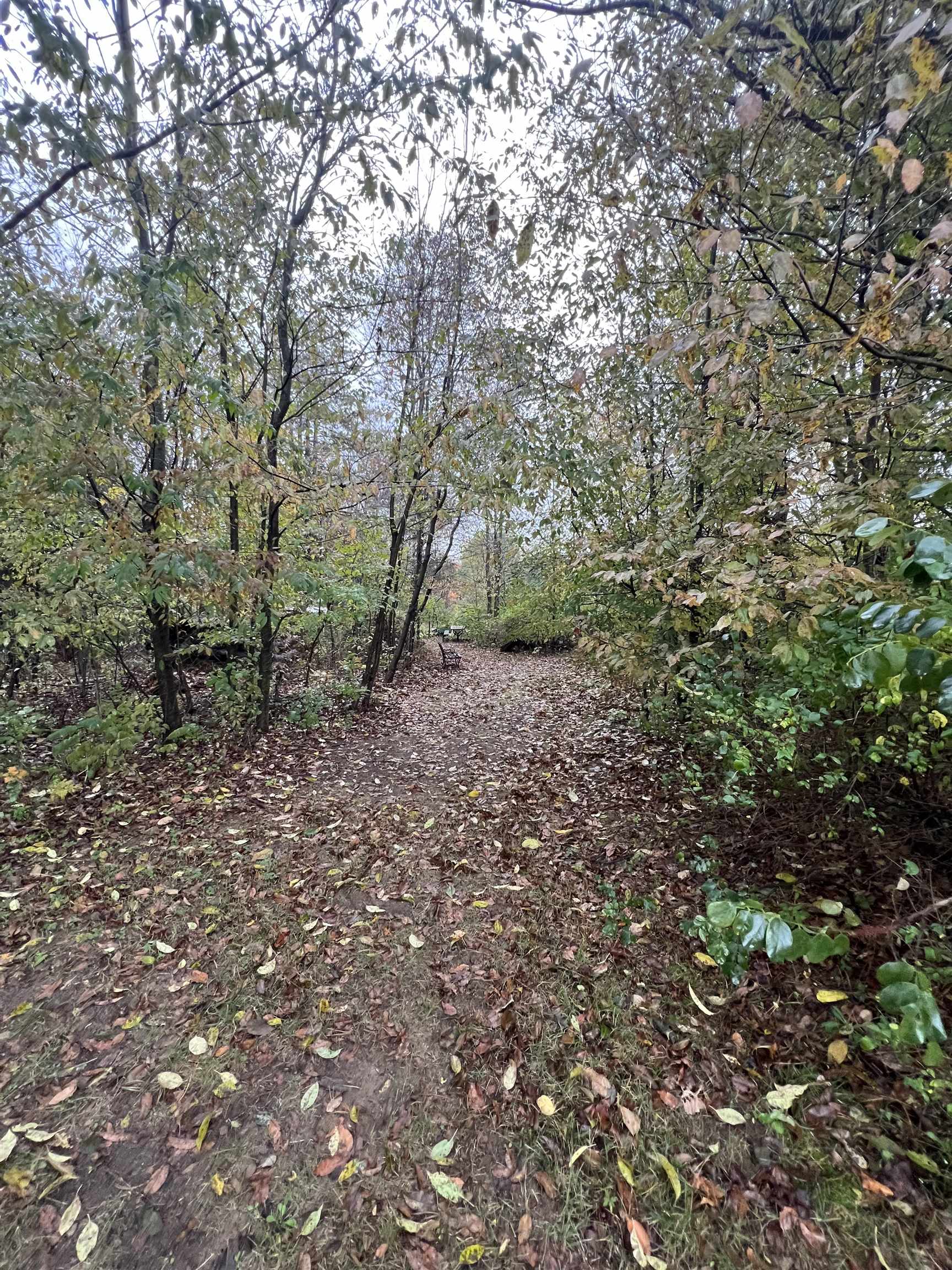 2031 E Dayton, Caro, MI, 48723