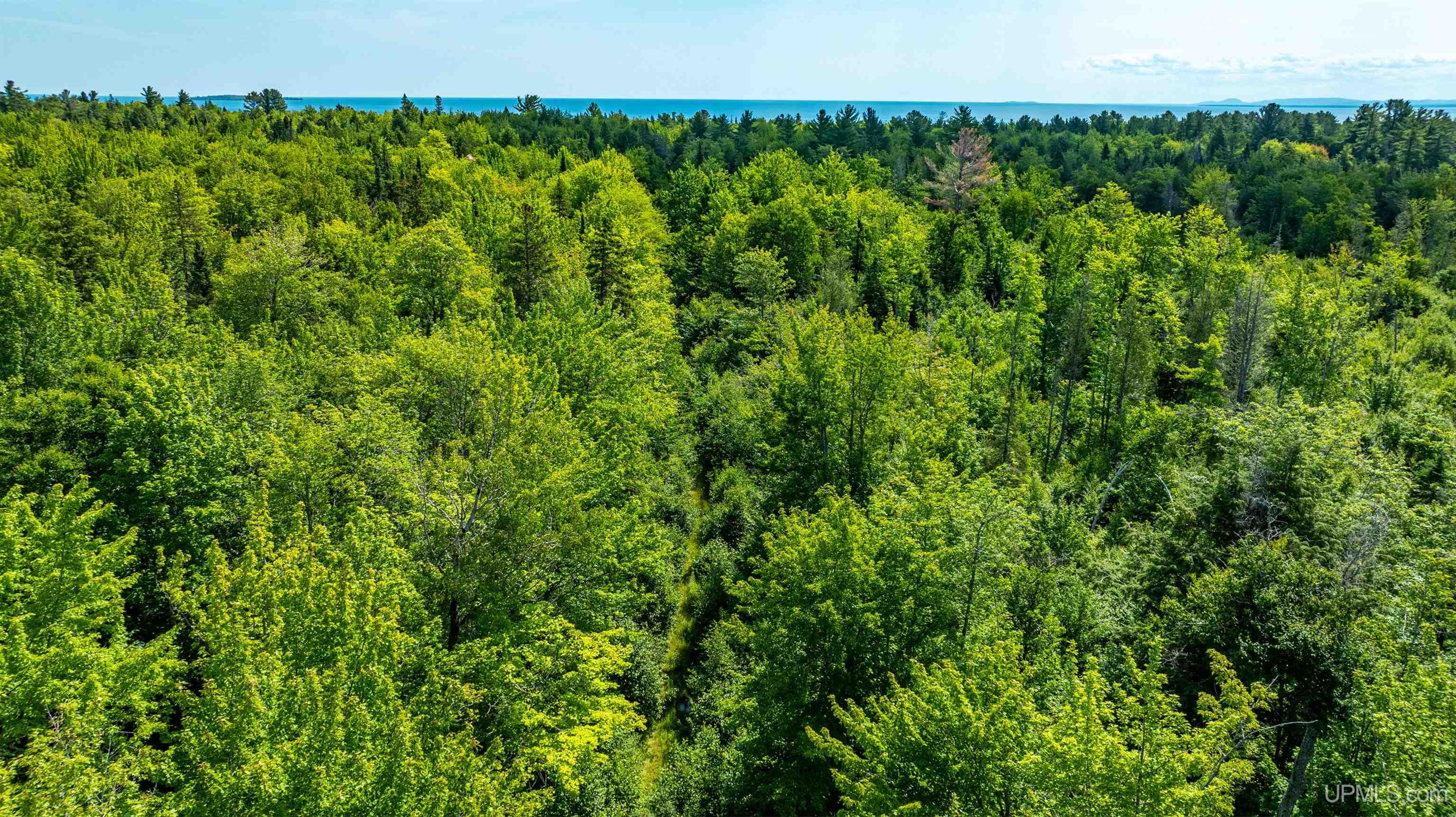 MLS 50189815 Large photo number 15 