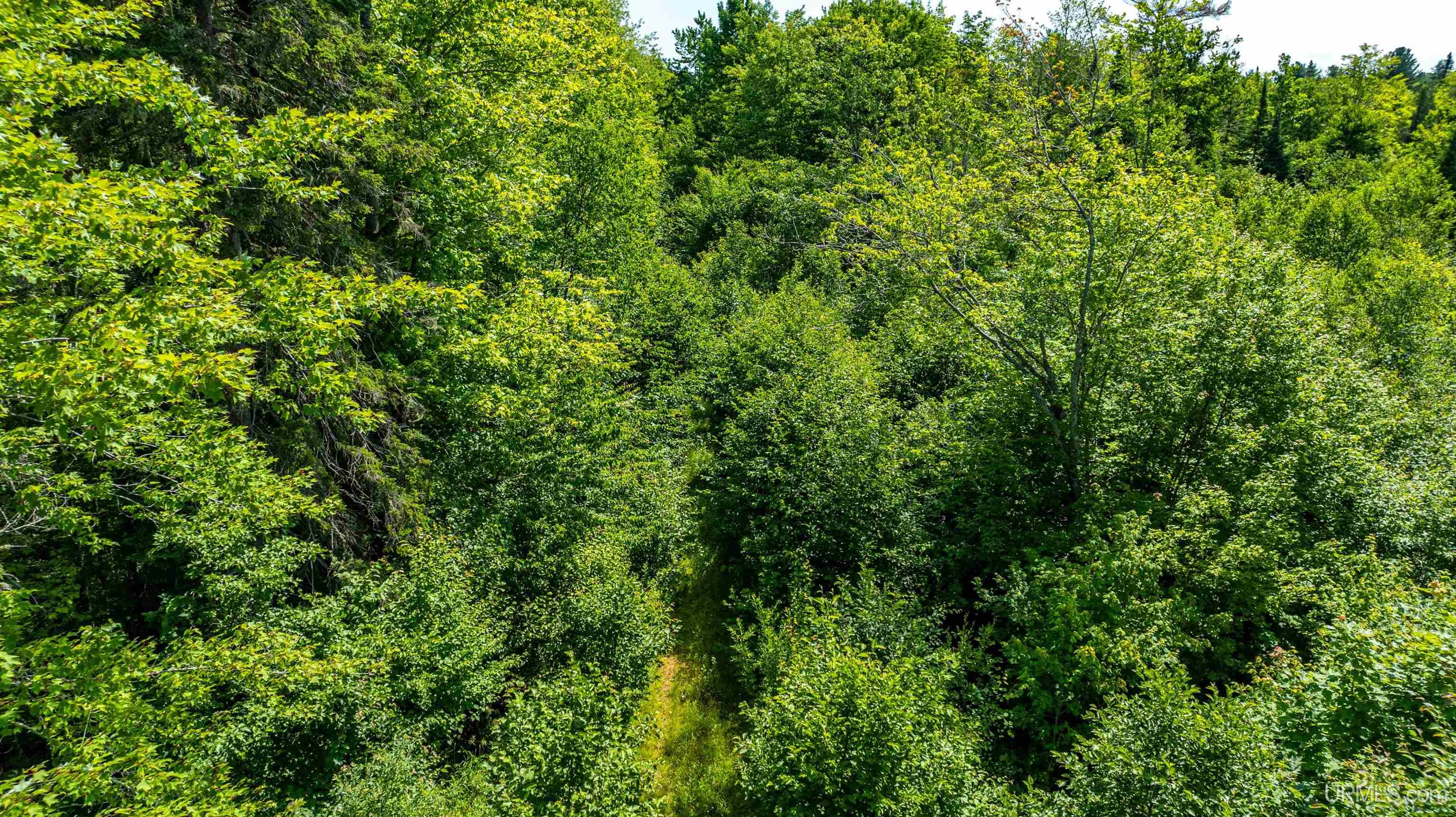 MLS 50189815 Large photo number 16 