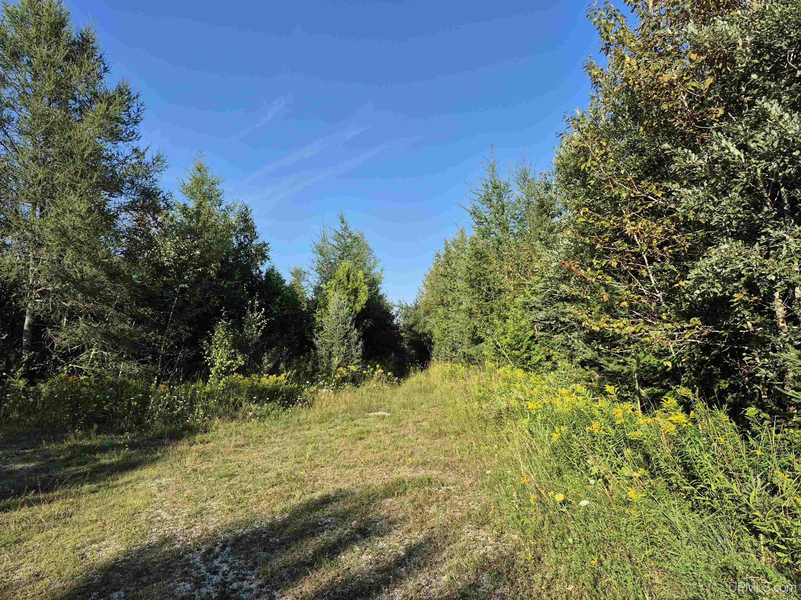 1st image of 412 Acres River Rd, Gulliver, MI 49840 | MLS# 50190040