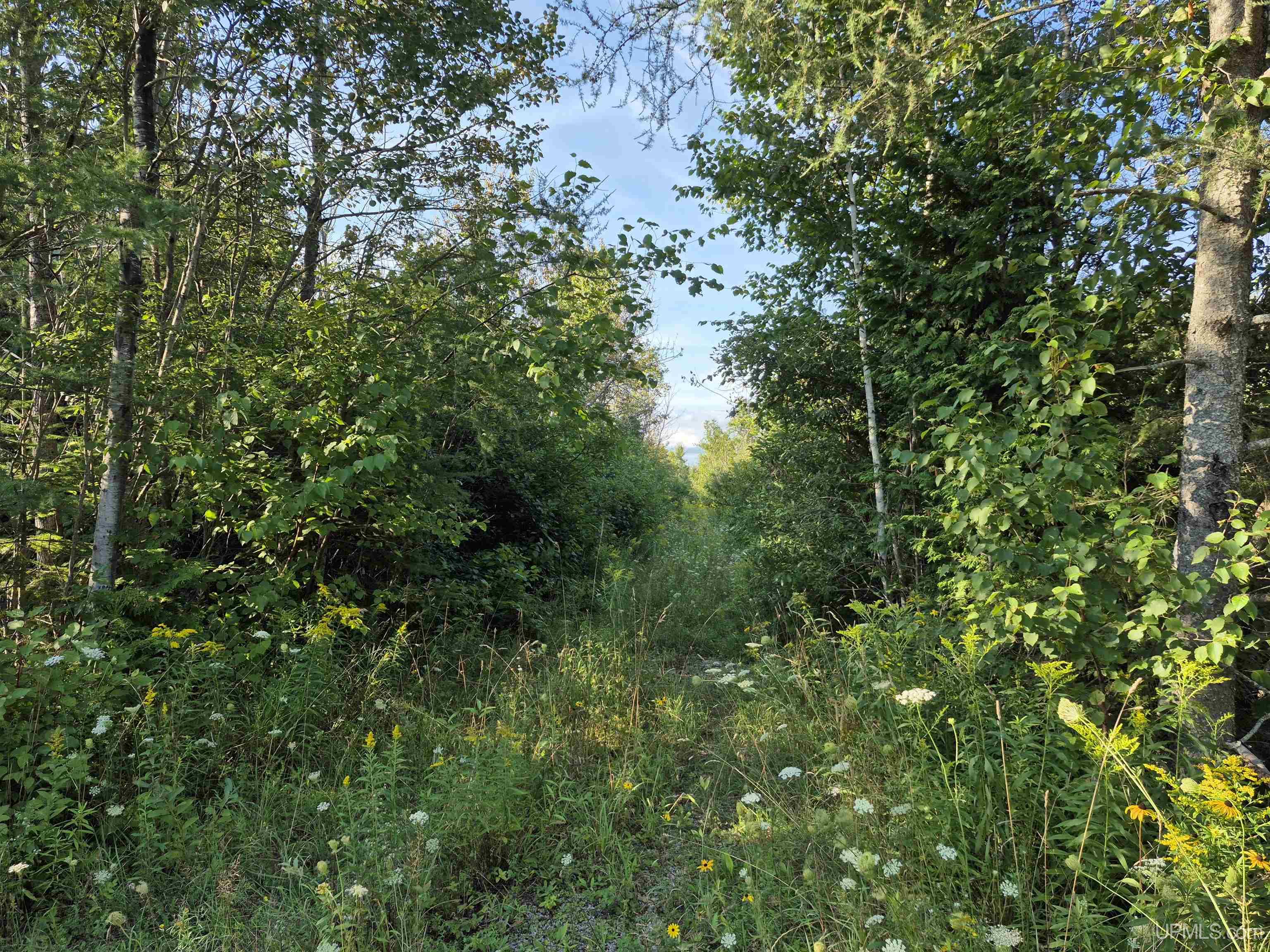 2nd image of 412 Acres River Rd, Gulliver, MI 49840 | MLS# 50190040