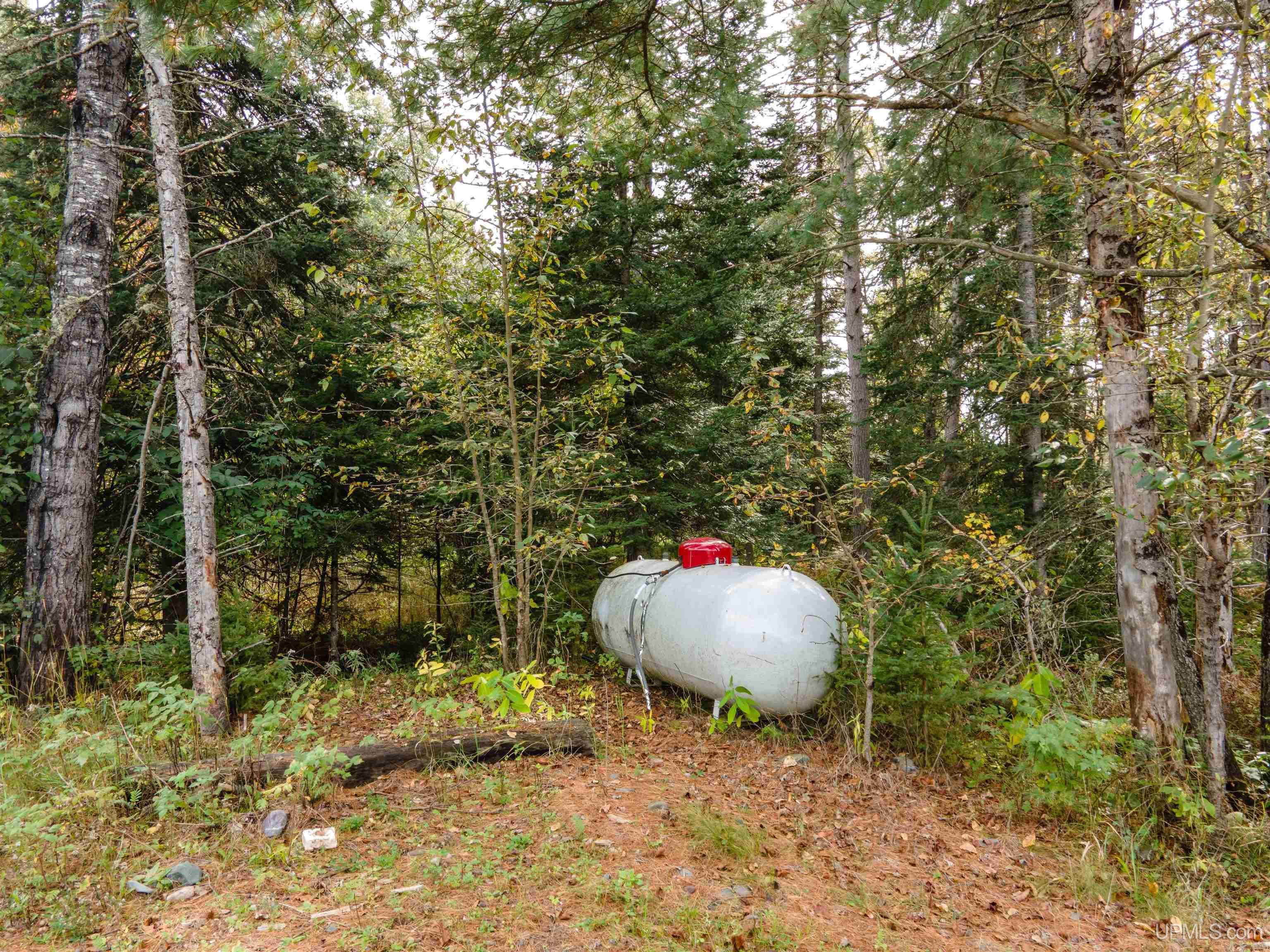 MLS 50190274 Large photo number 24 