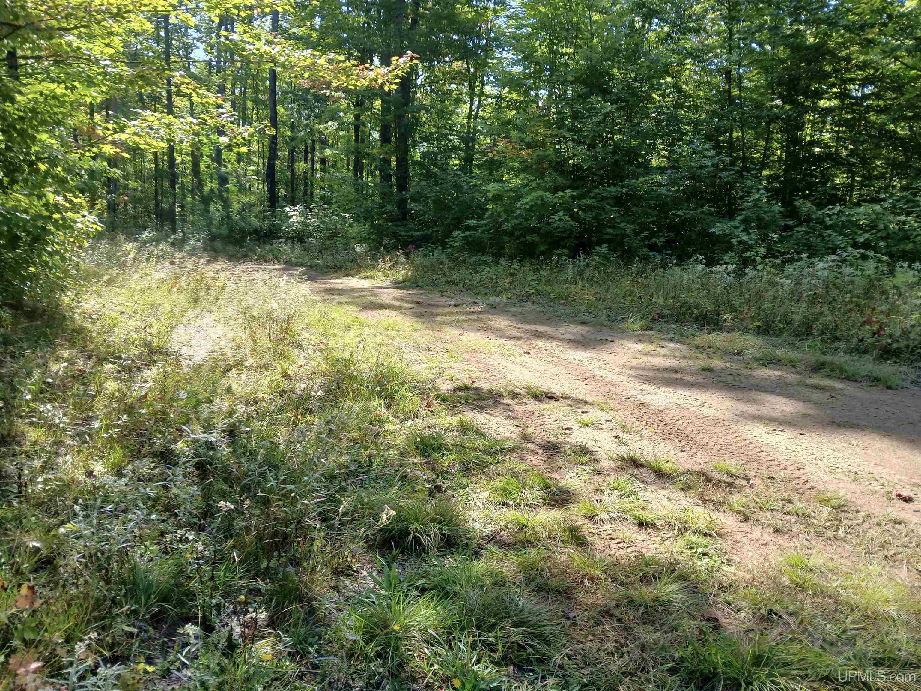 MLS 50191058 Large photo number 11 