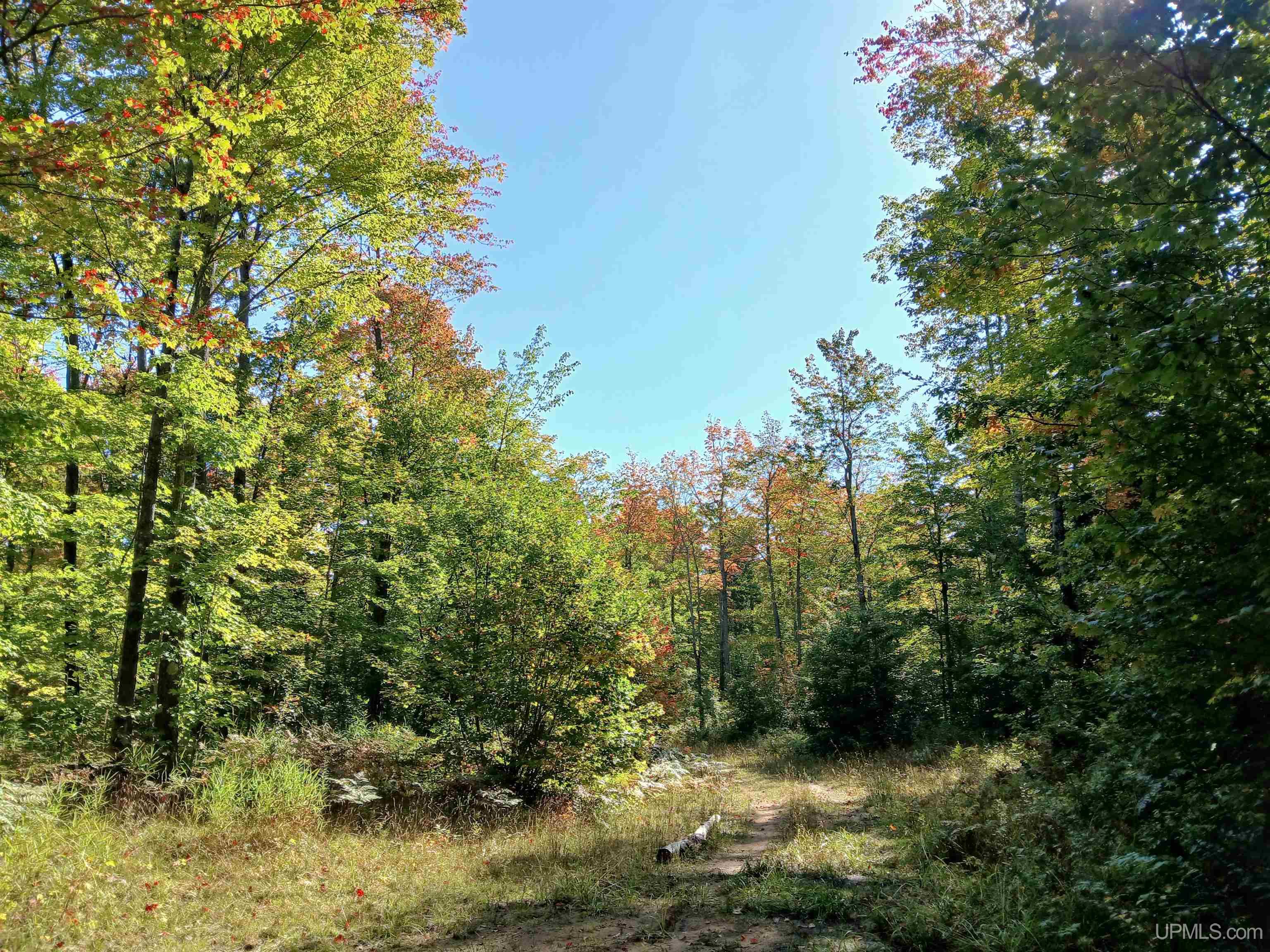 MLS 50191058 Large photo number 16 