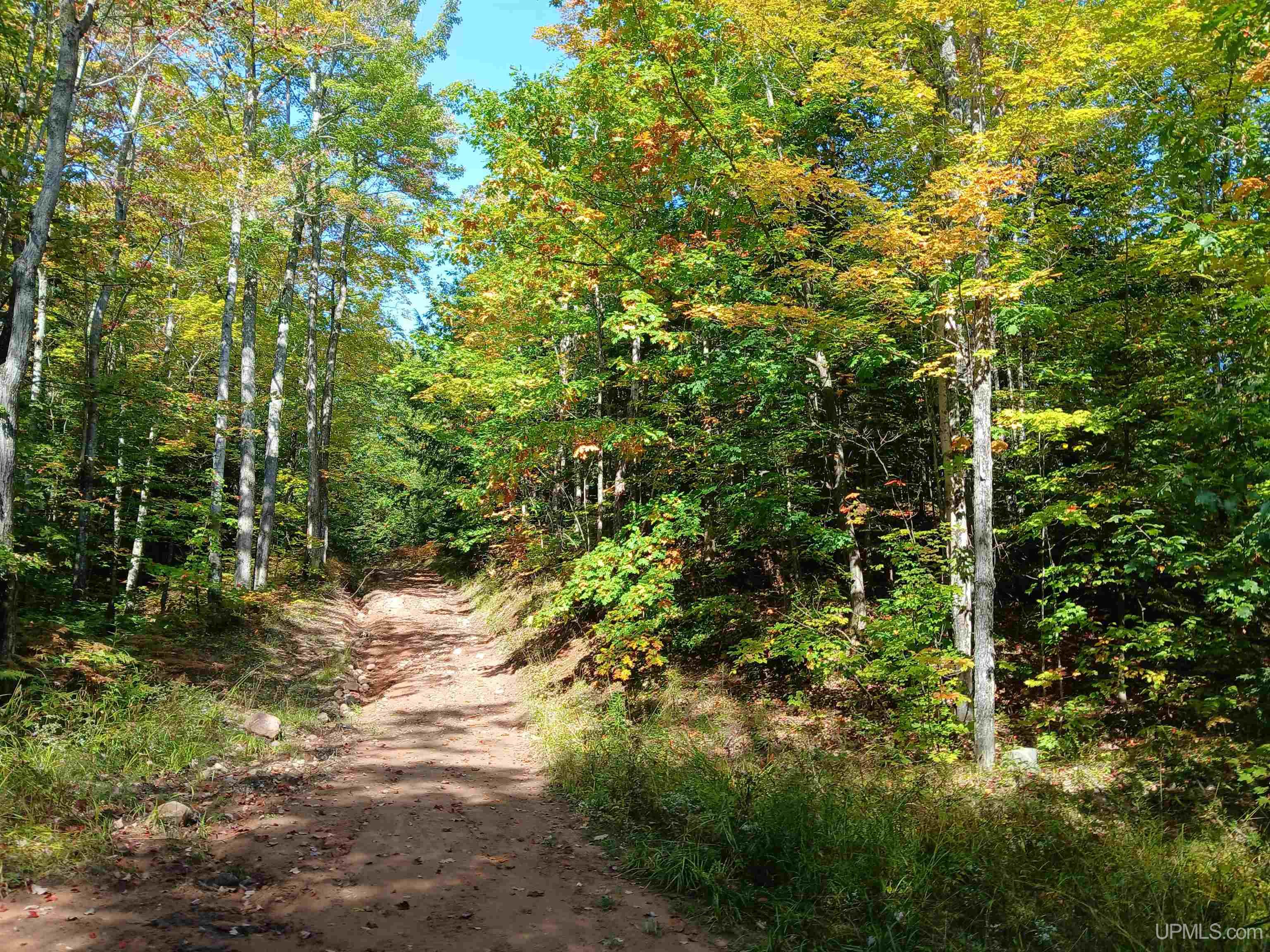 MLS 50191058 Large photo number 17 