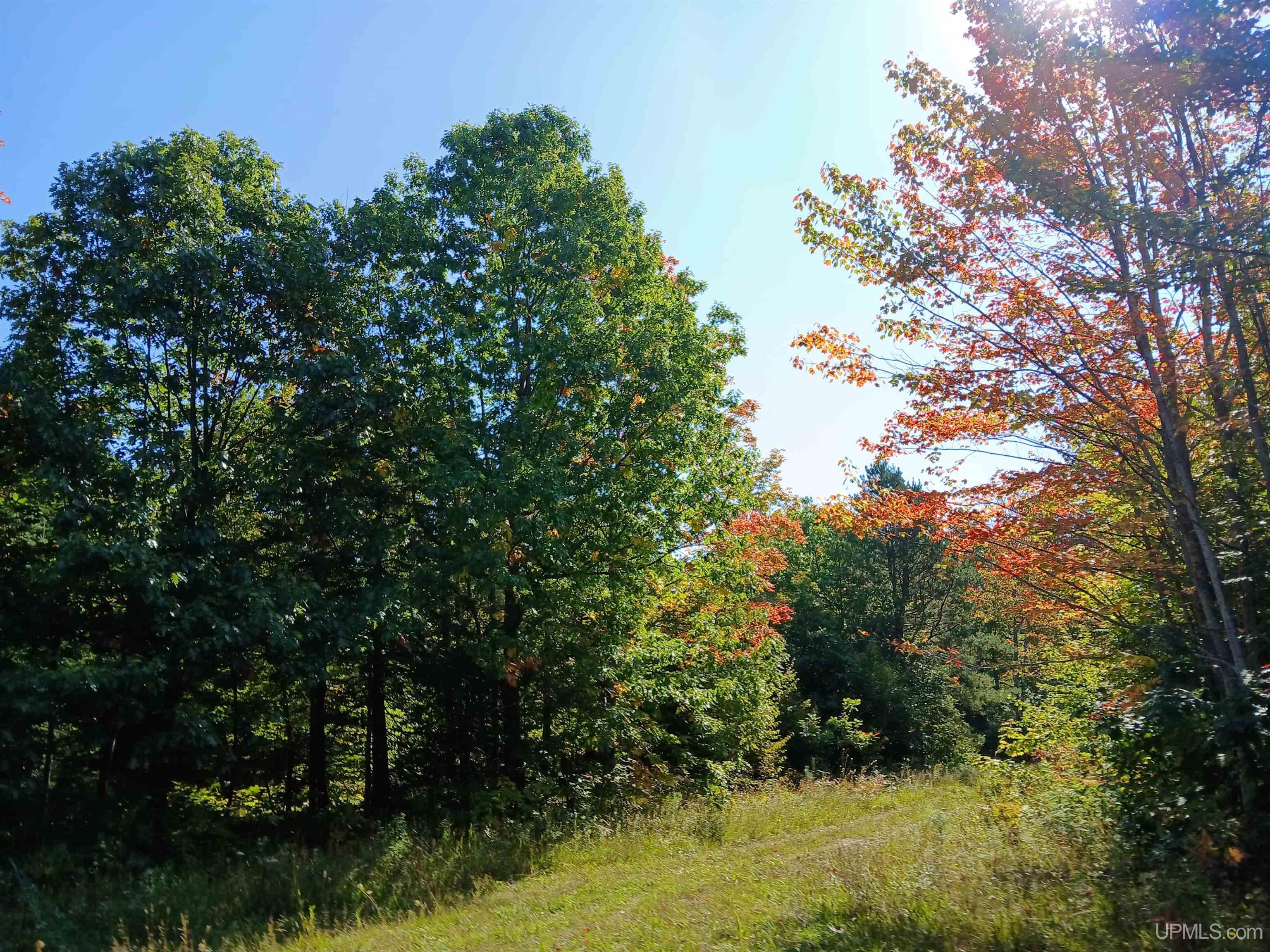 MLS 50191058 Large photo number 23 