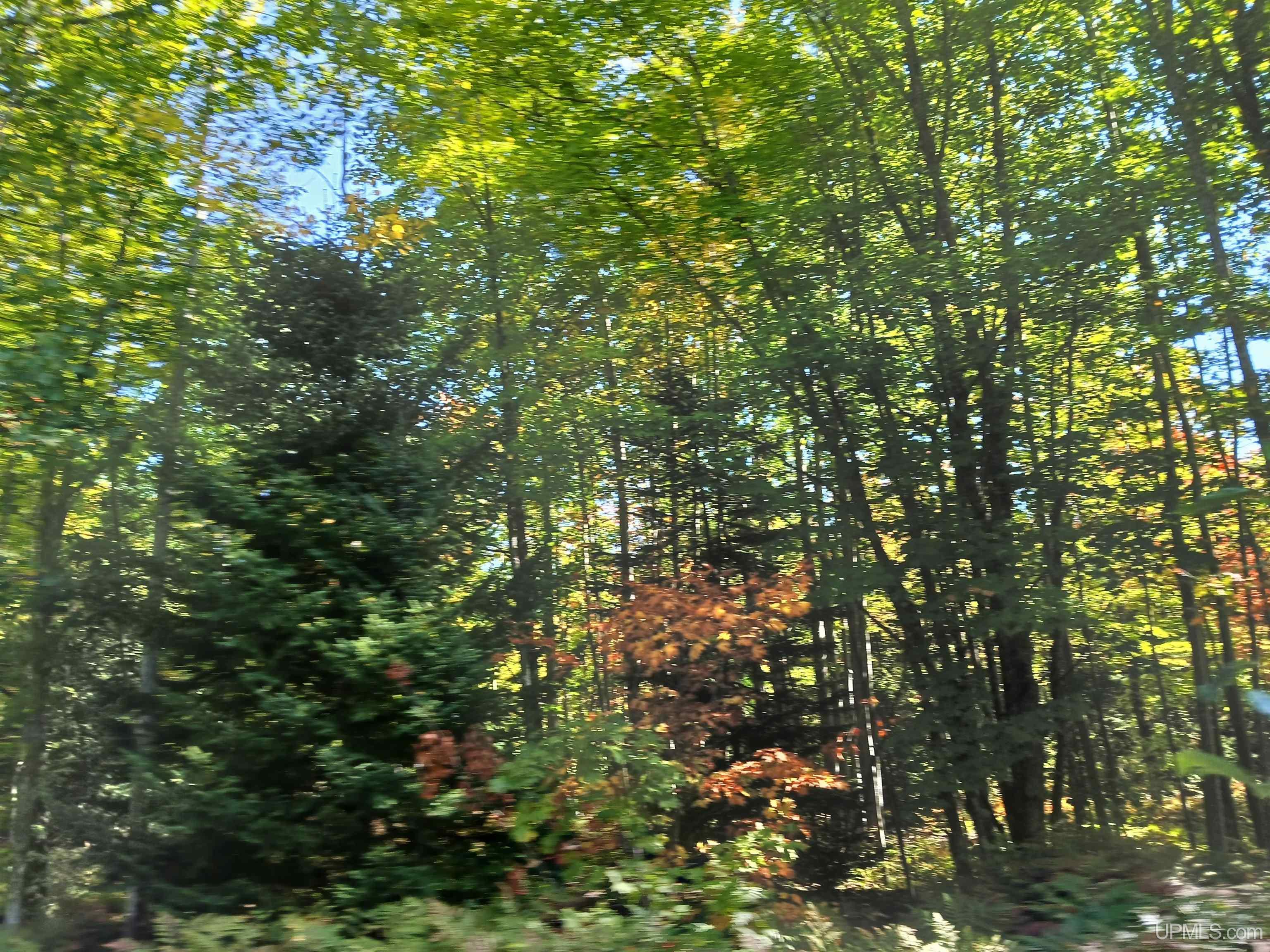 MLS 50191058 Large photo number 24 