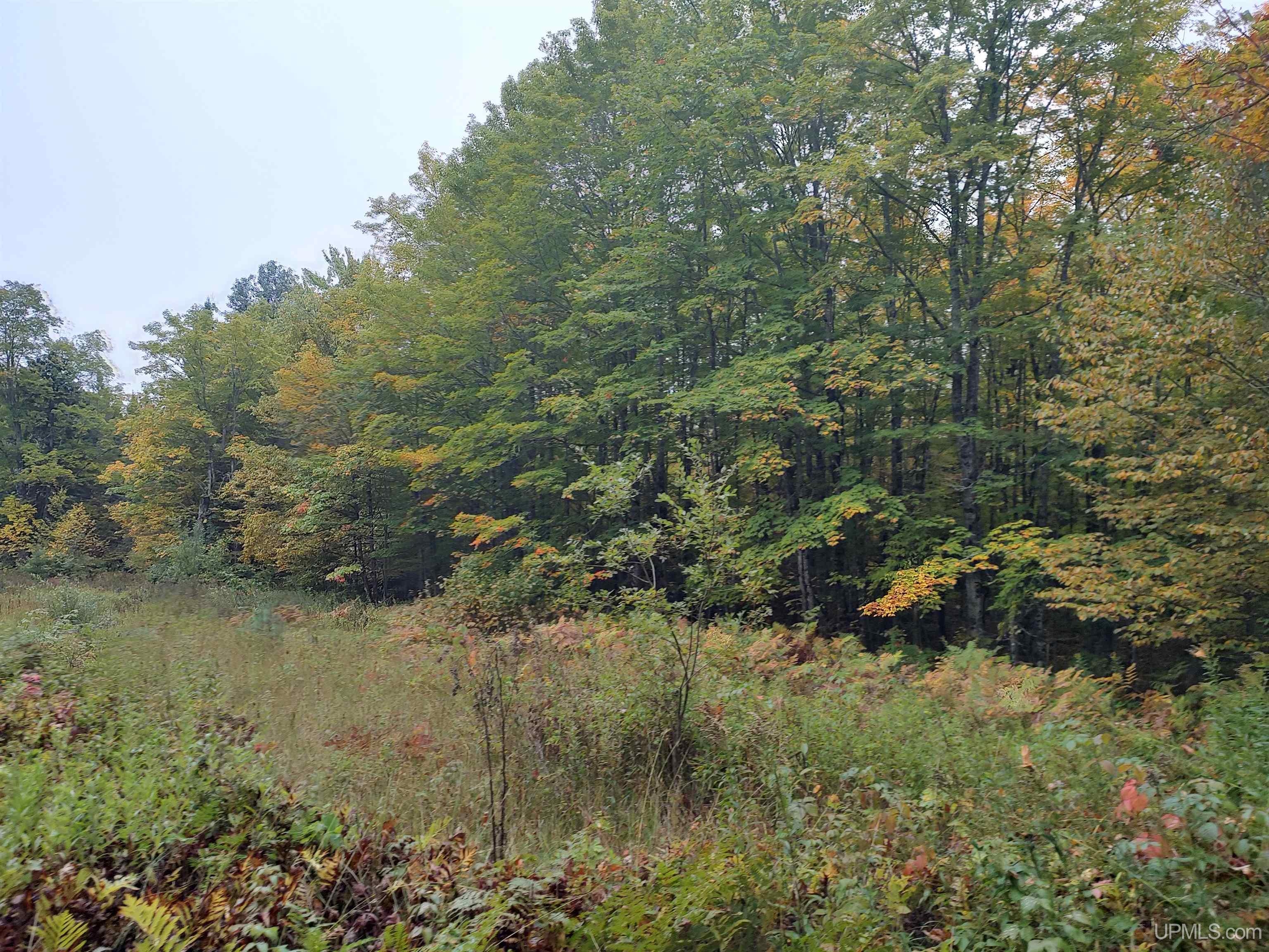 MLS 50191064 Large photo number 2 