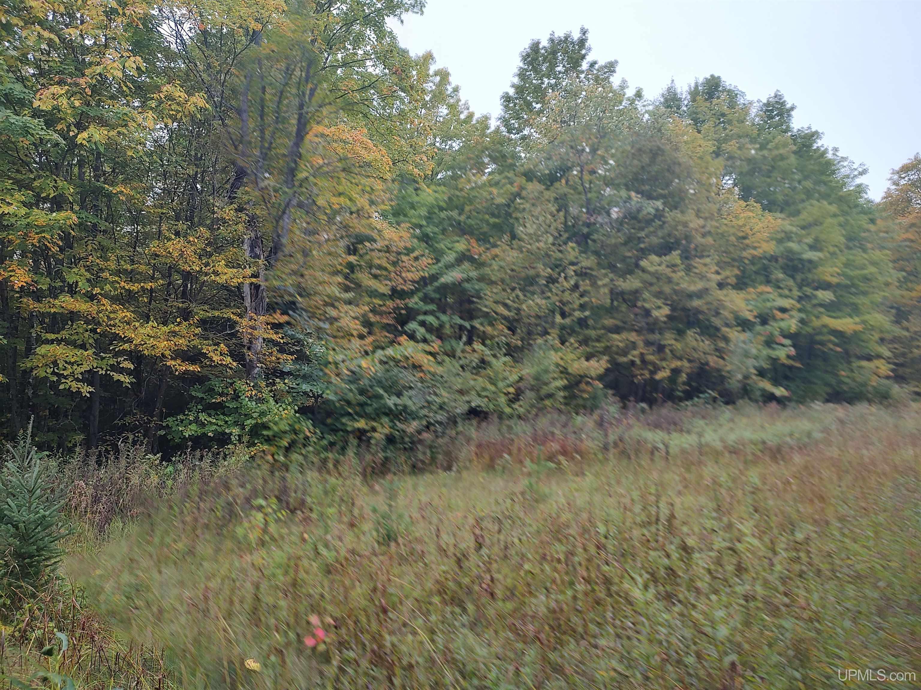 MLS 50191064 Large photo number 12 