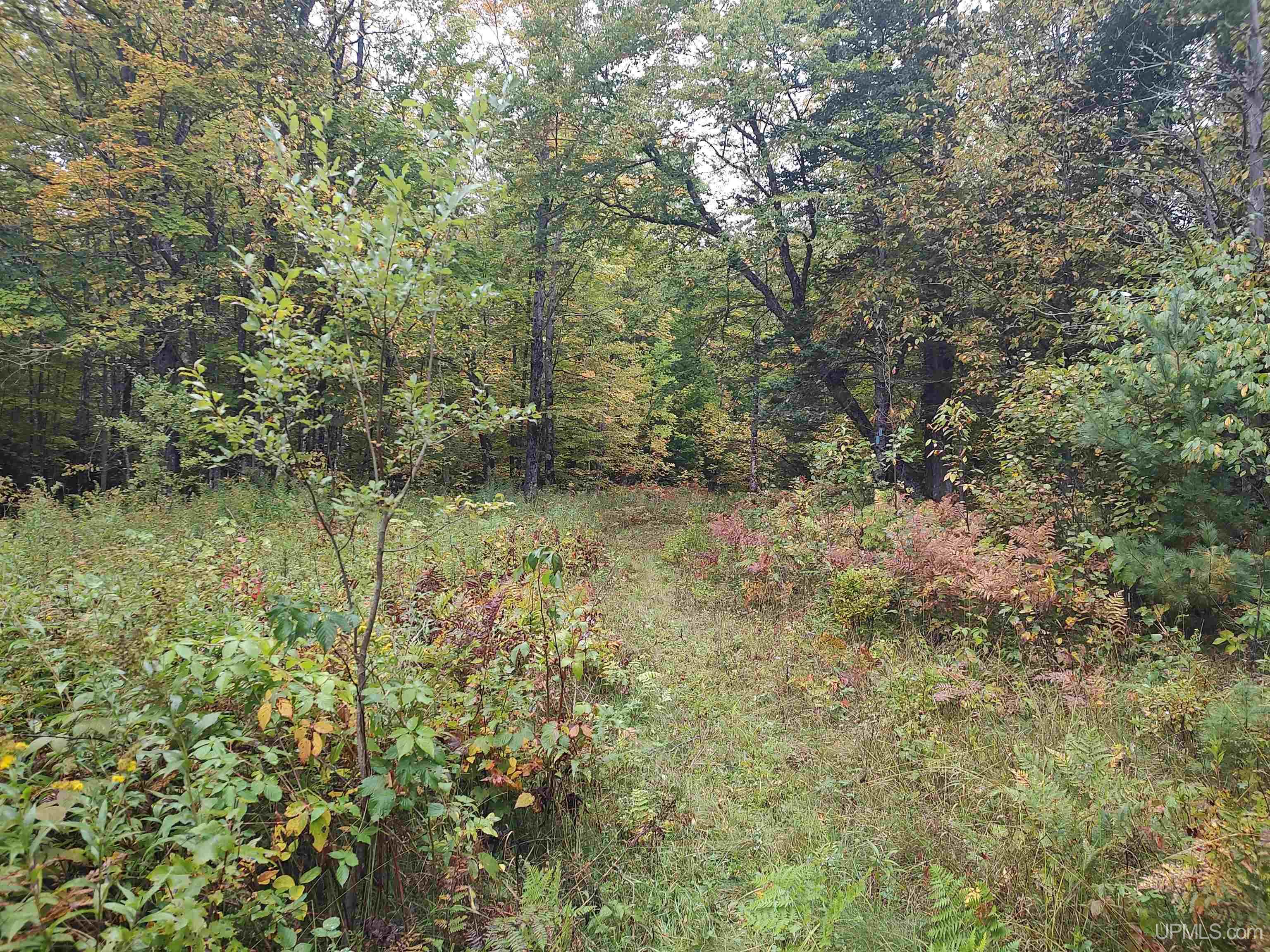 MLS 50191064 Large photo number 13 