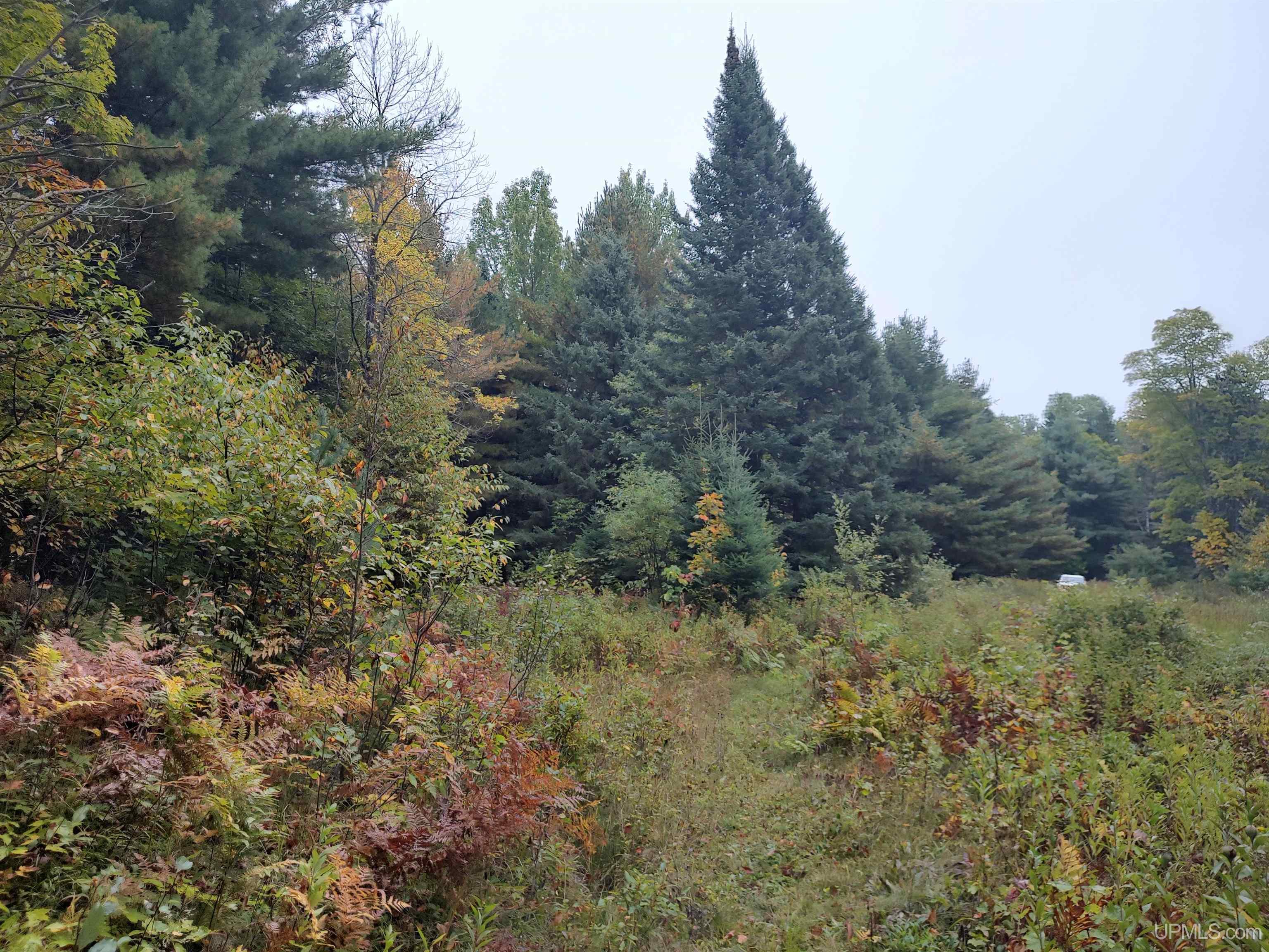 MLS 50191064 Large photo number 3 