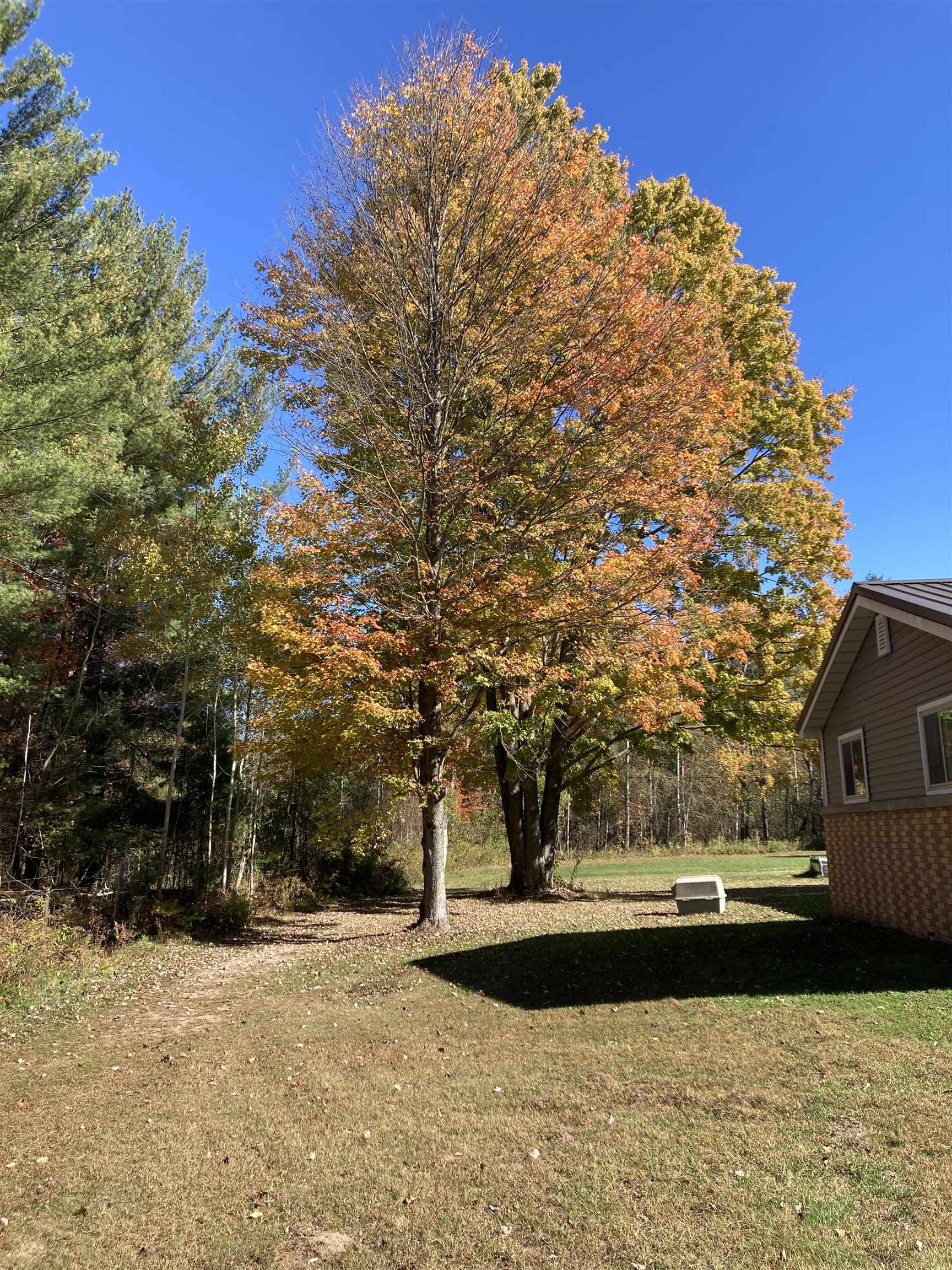 3748 Fitzwater Road, Gladwin, MI, 48624